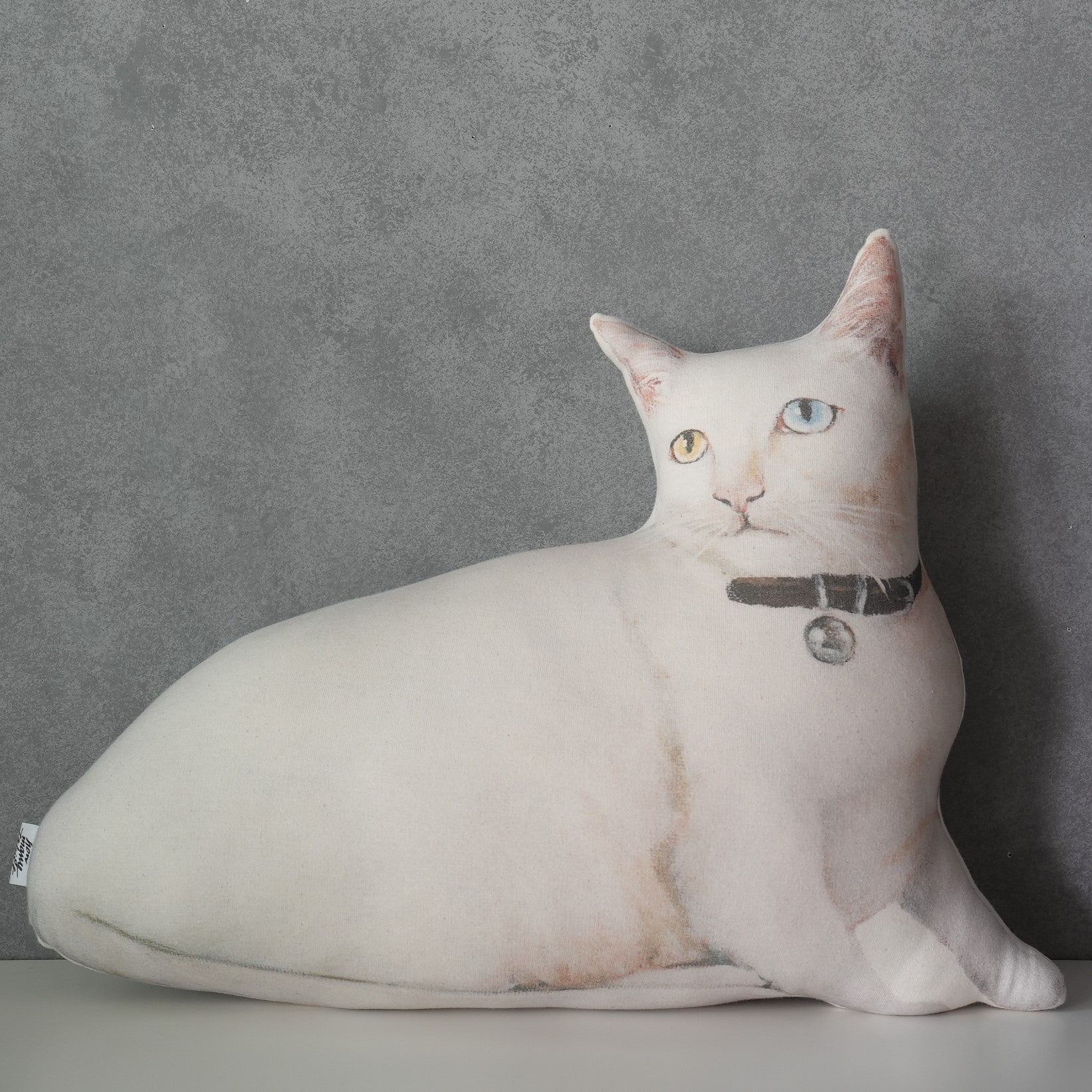 Cat Cushion