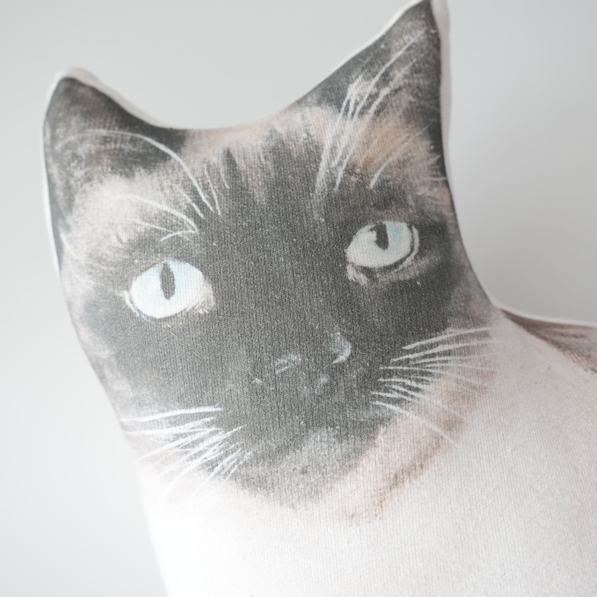 Cat Cushion