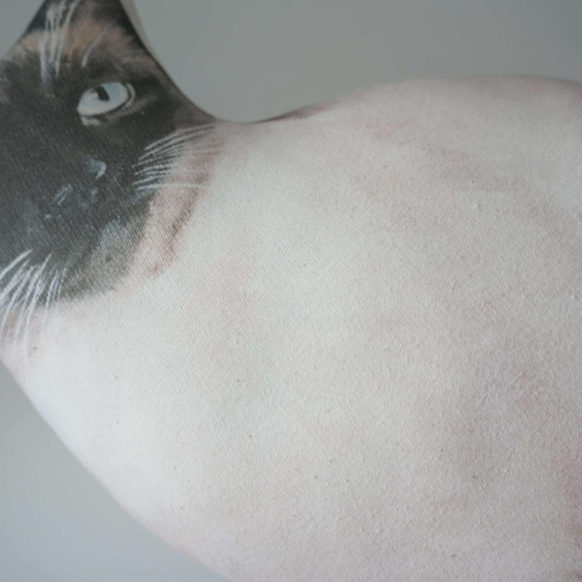 Cat Cushion