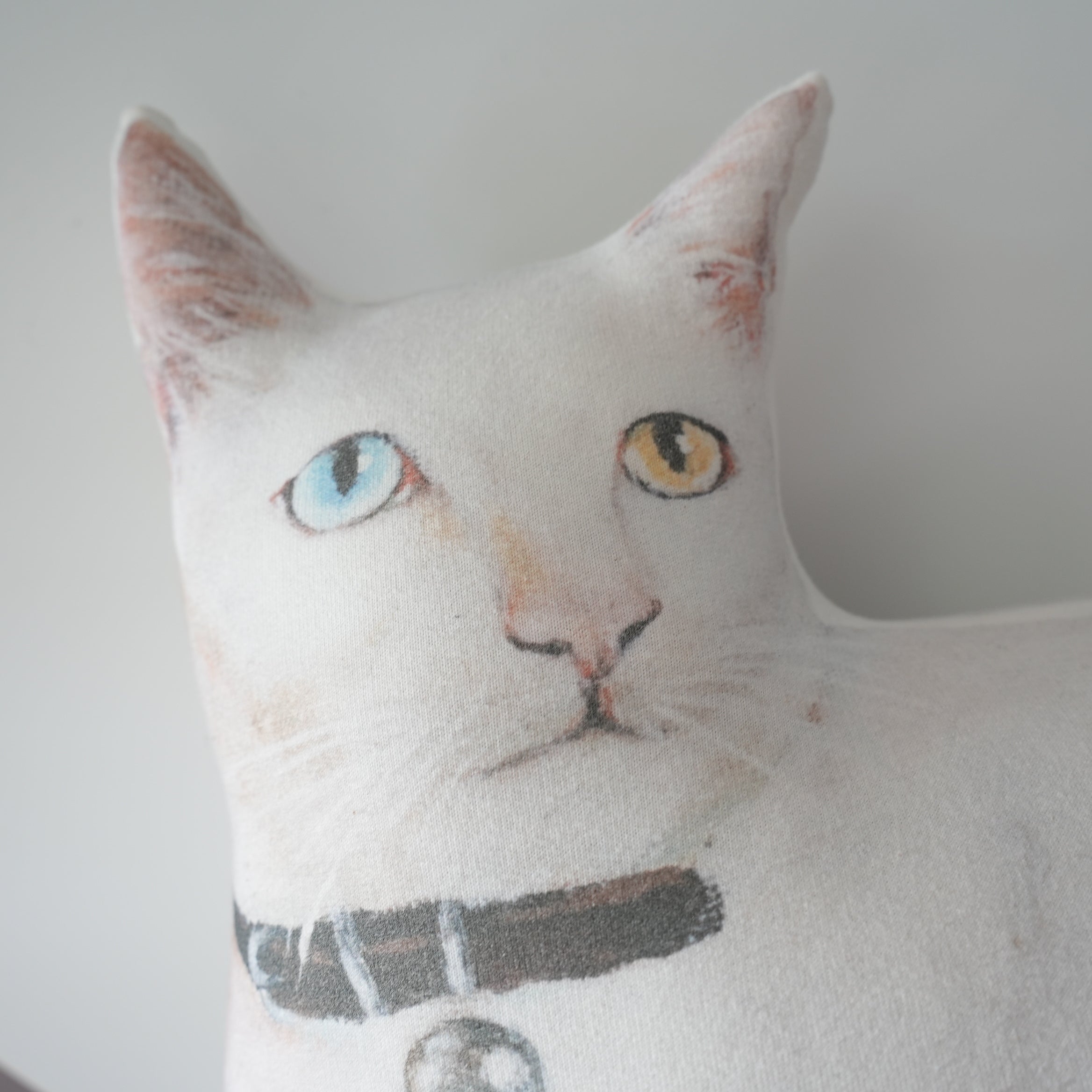 Cat Cushion