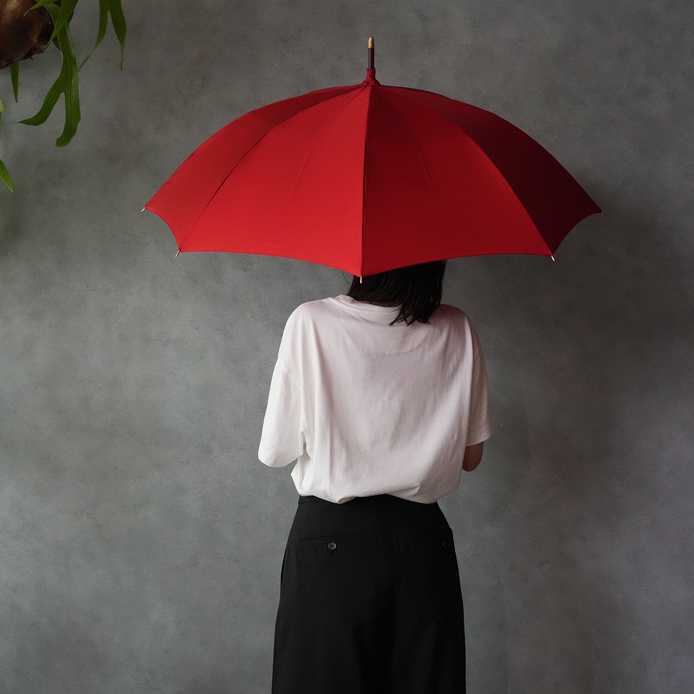 KOUMORI UMBRELLA　55cm