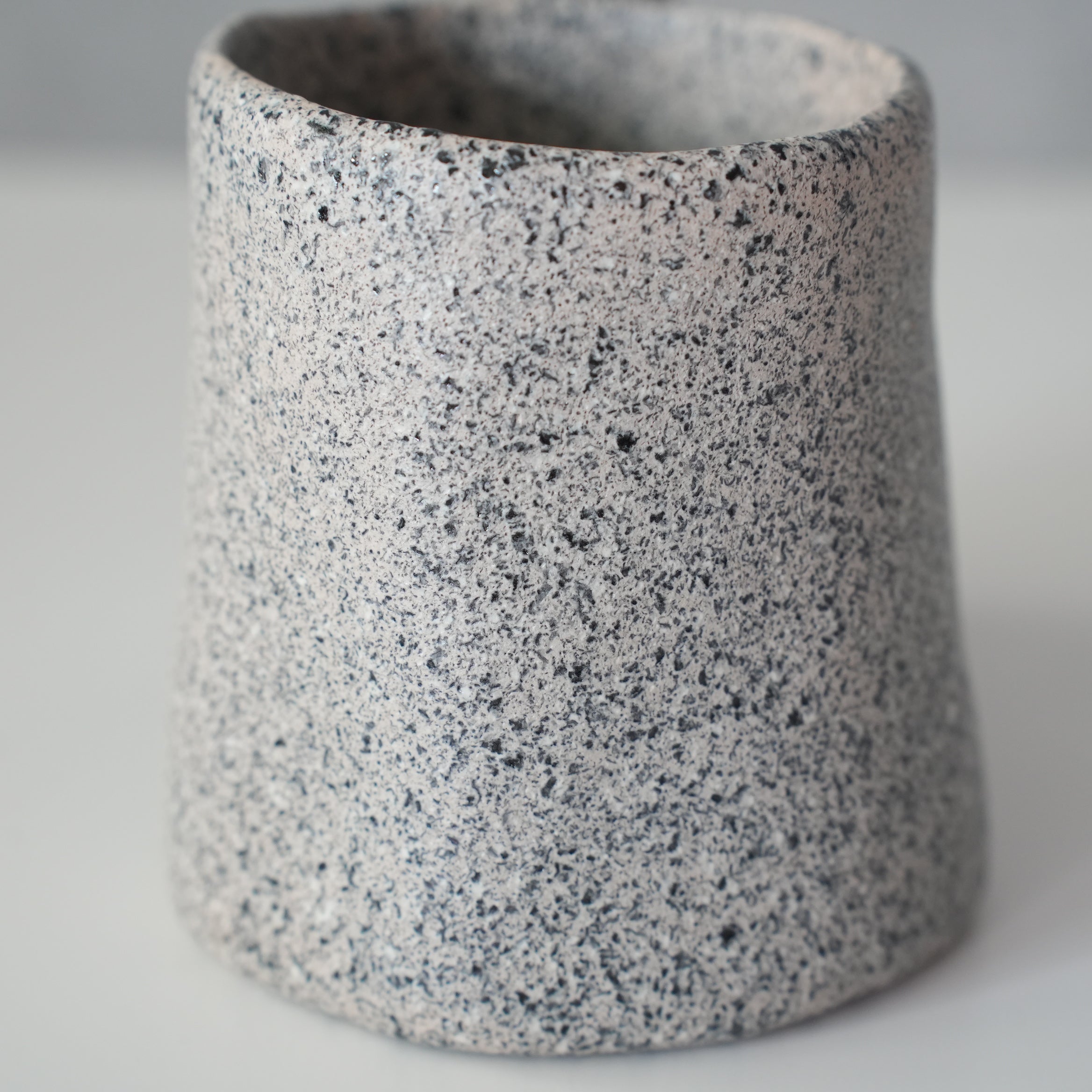 Newlithic Mug