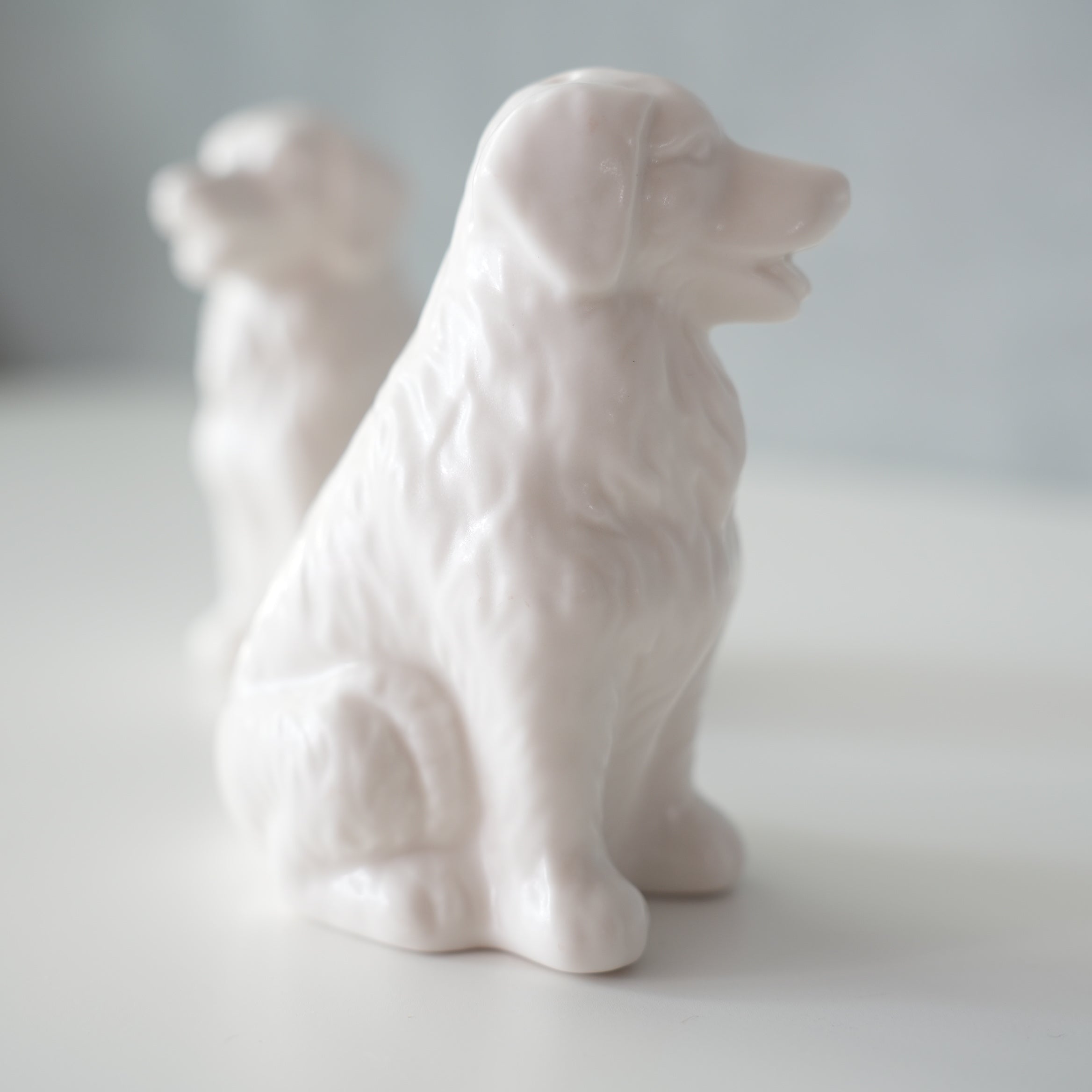 CERAMIC SALT & PEPPER SHAKER SET