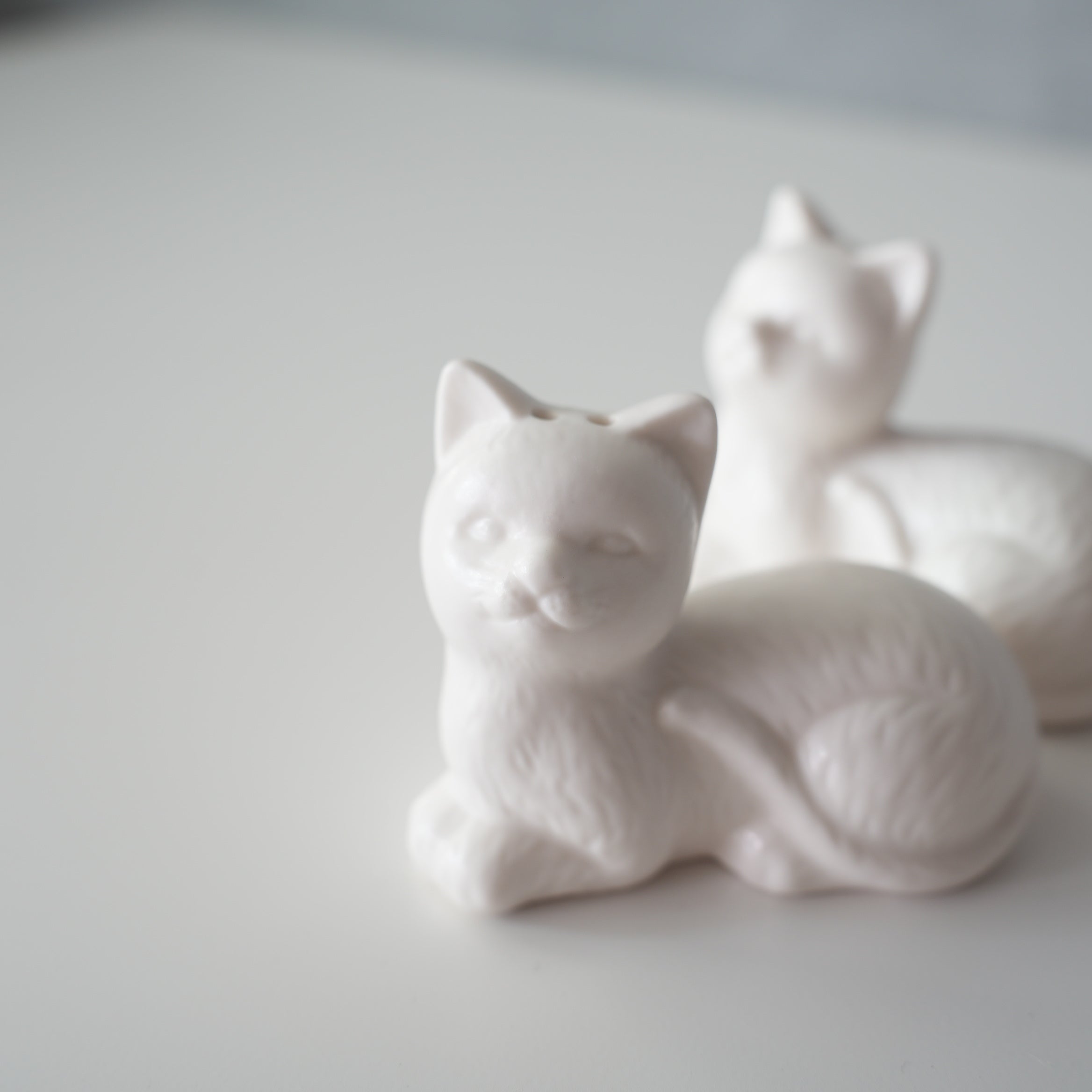 CERAMIC SALT & PEPPER SHAKER SET
