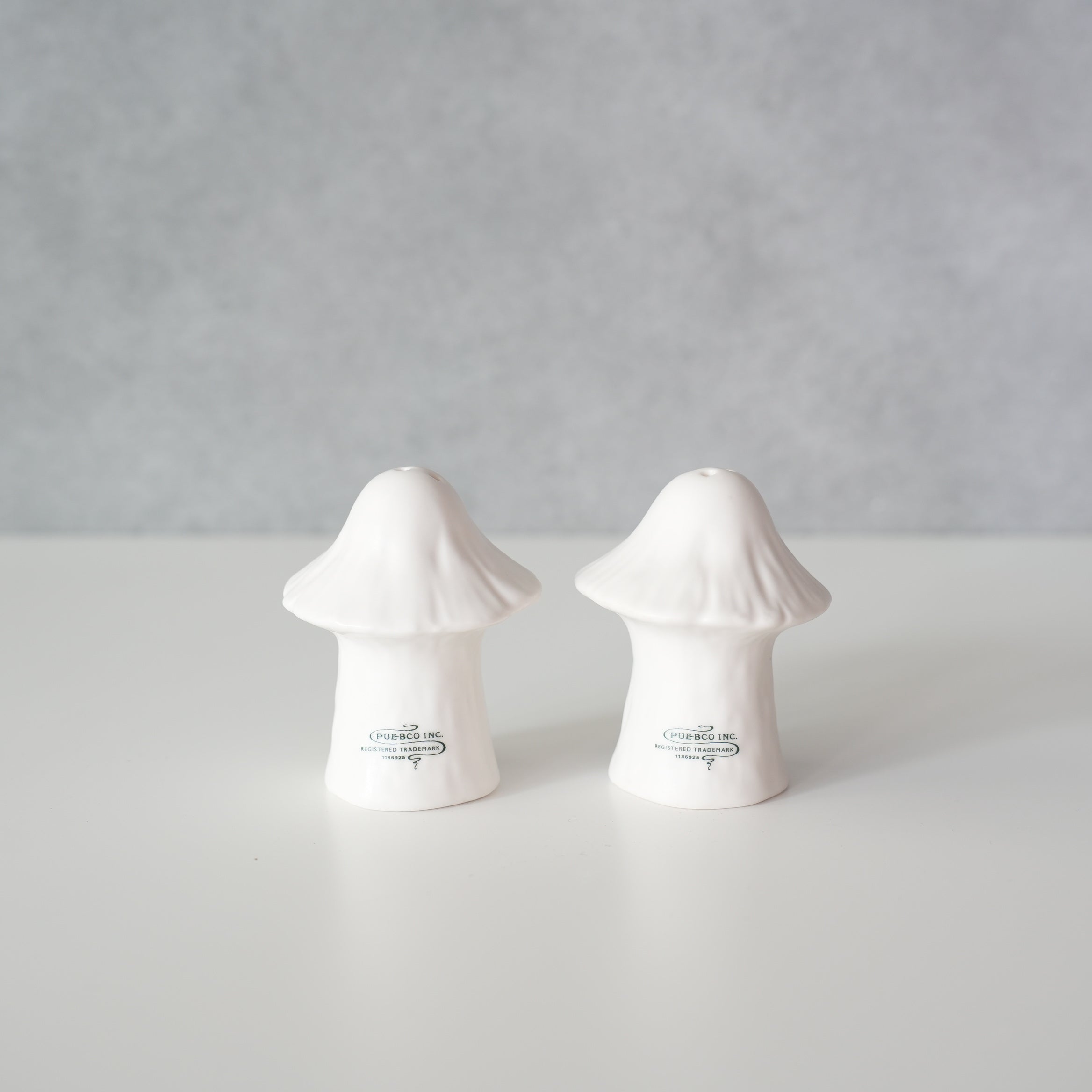 CERAMIC SALT & PEPPER SHAKER SET