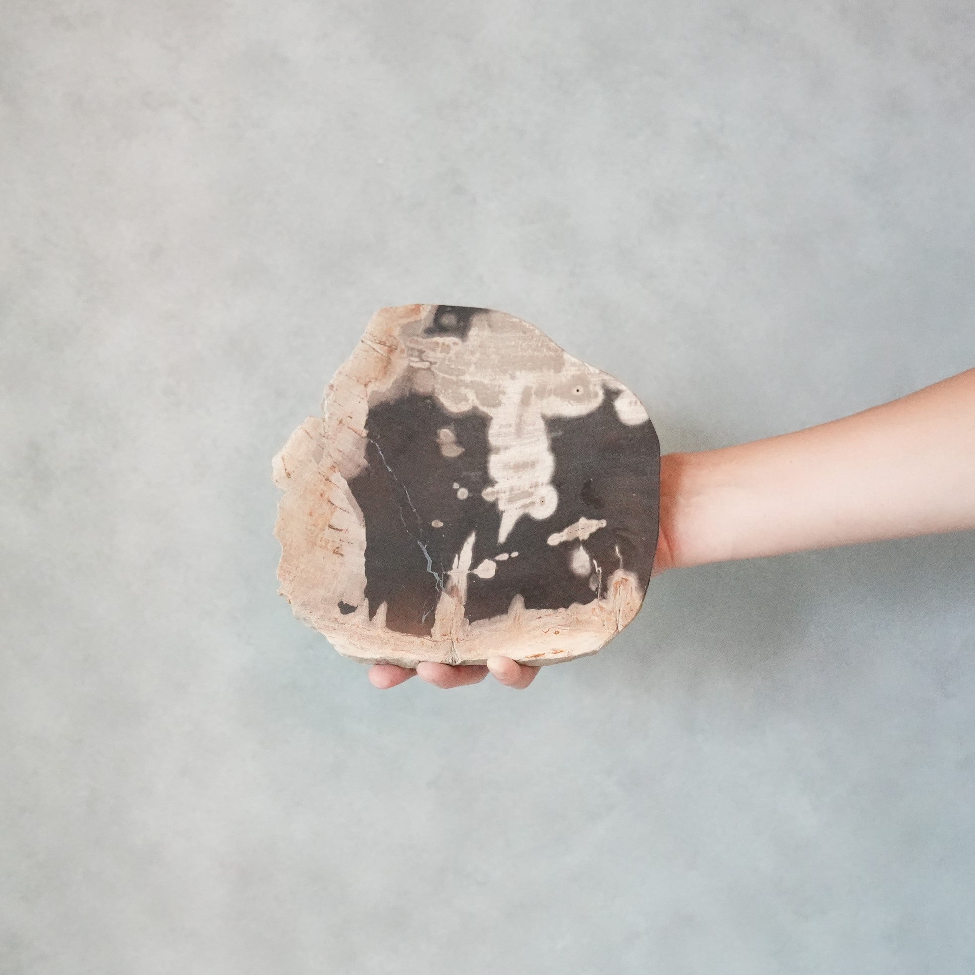 Wood Plate 20 Black B