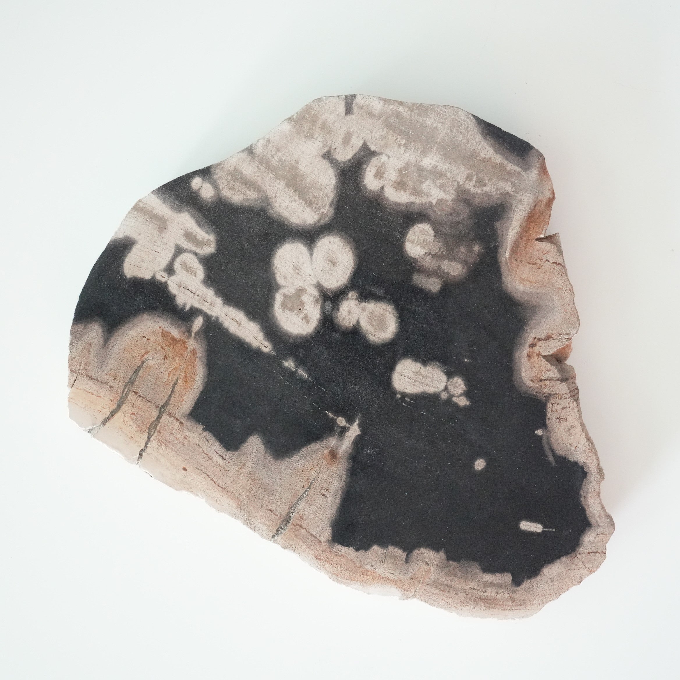 Wood Plate 20 Black A