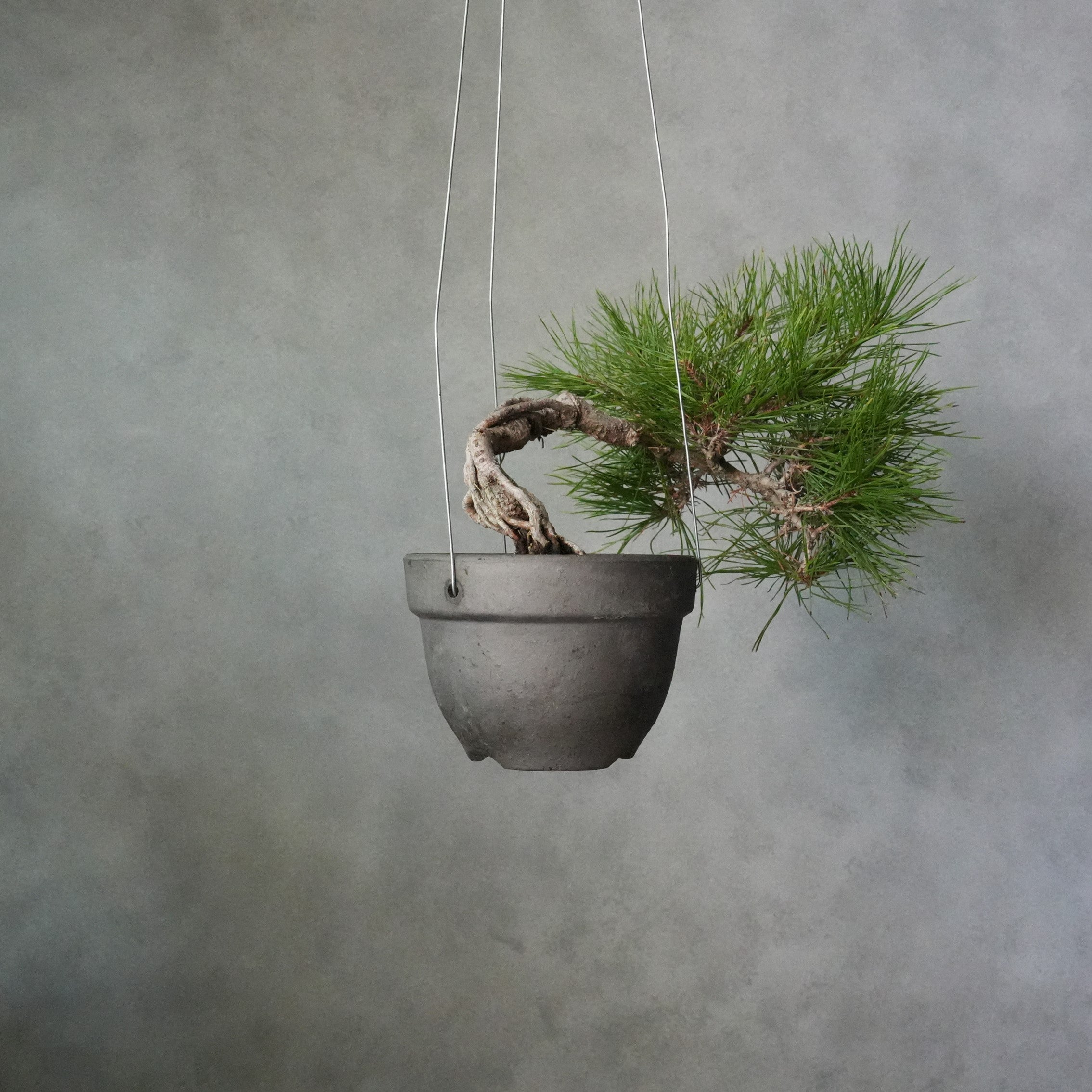 SMOKED PLANTER　HANGING