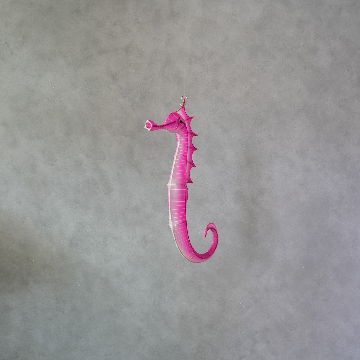 Sea Horse