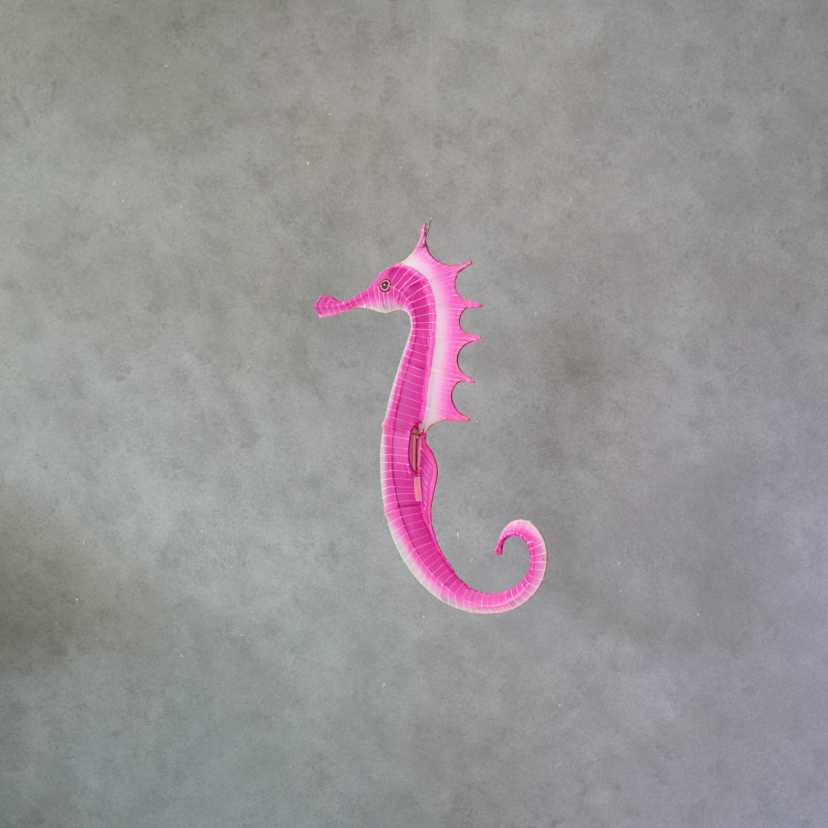 Sea Horse