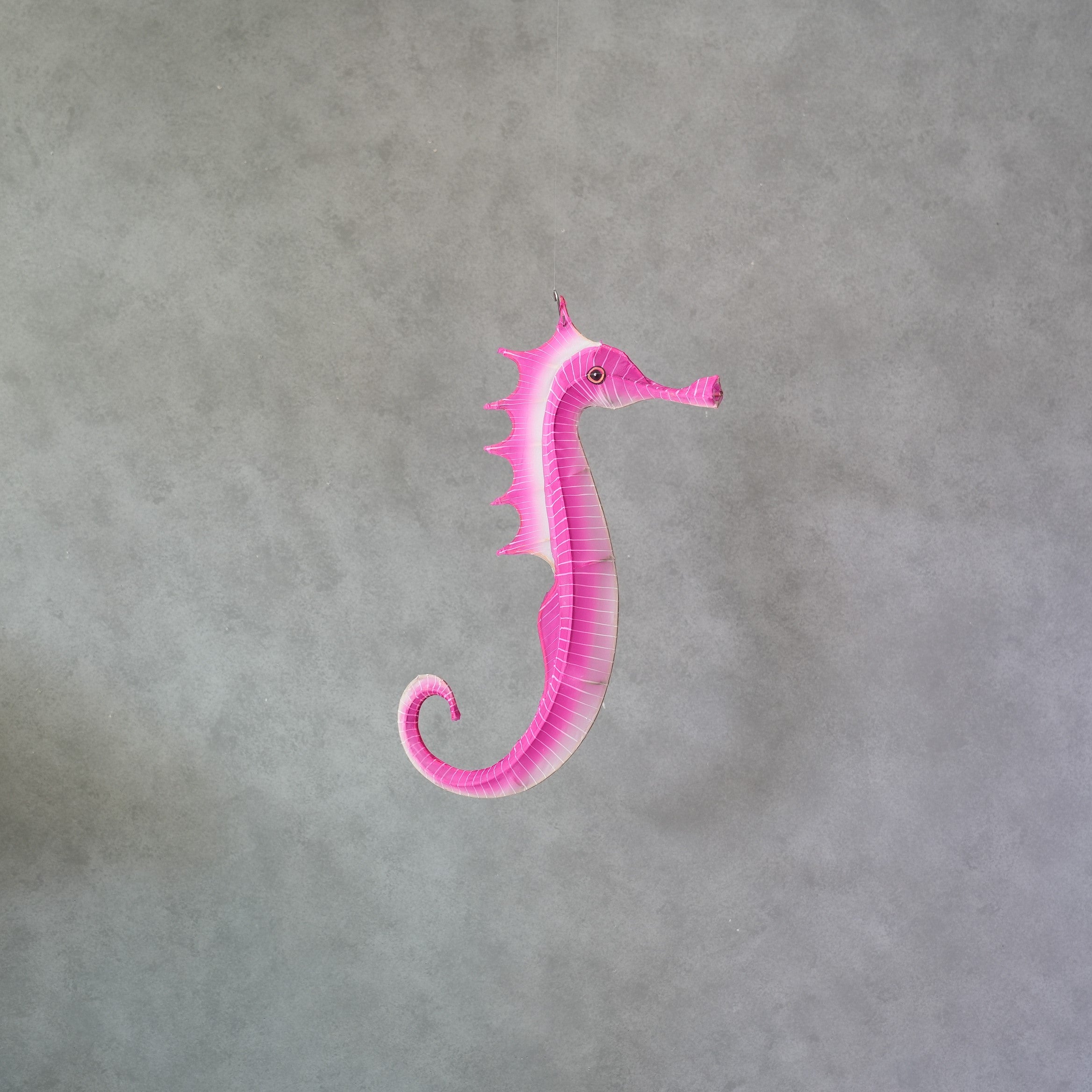 Sea Horse