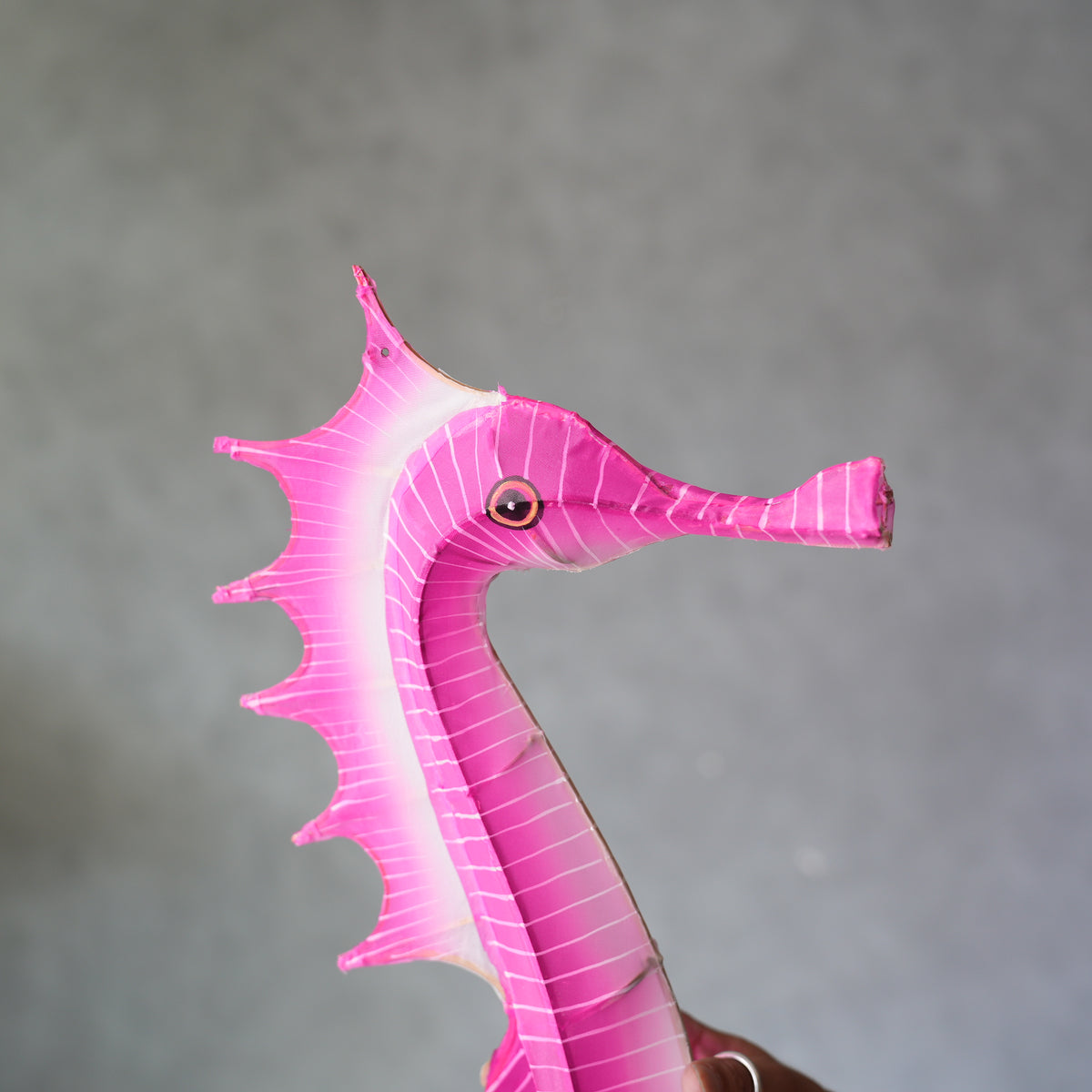 Sea Horse