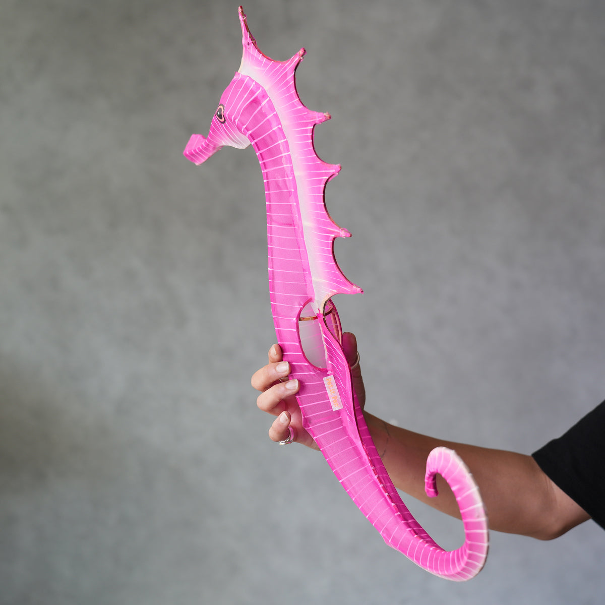 Sea Horse