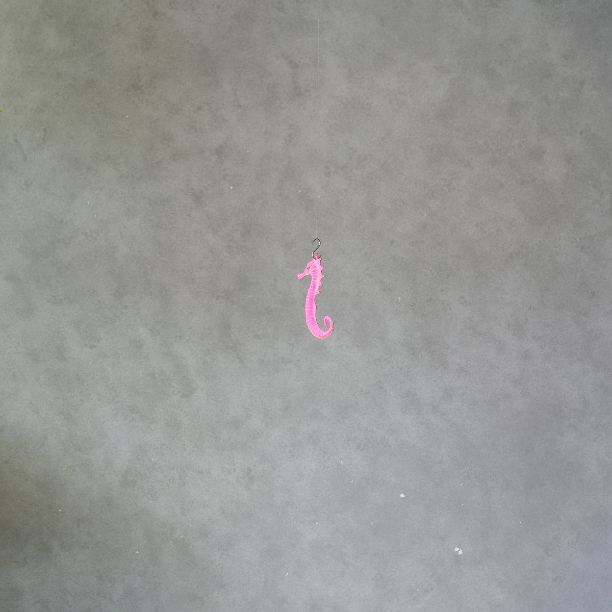 Small Sea Horse
