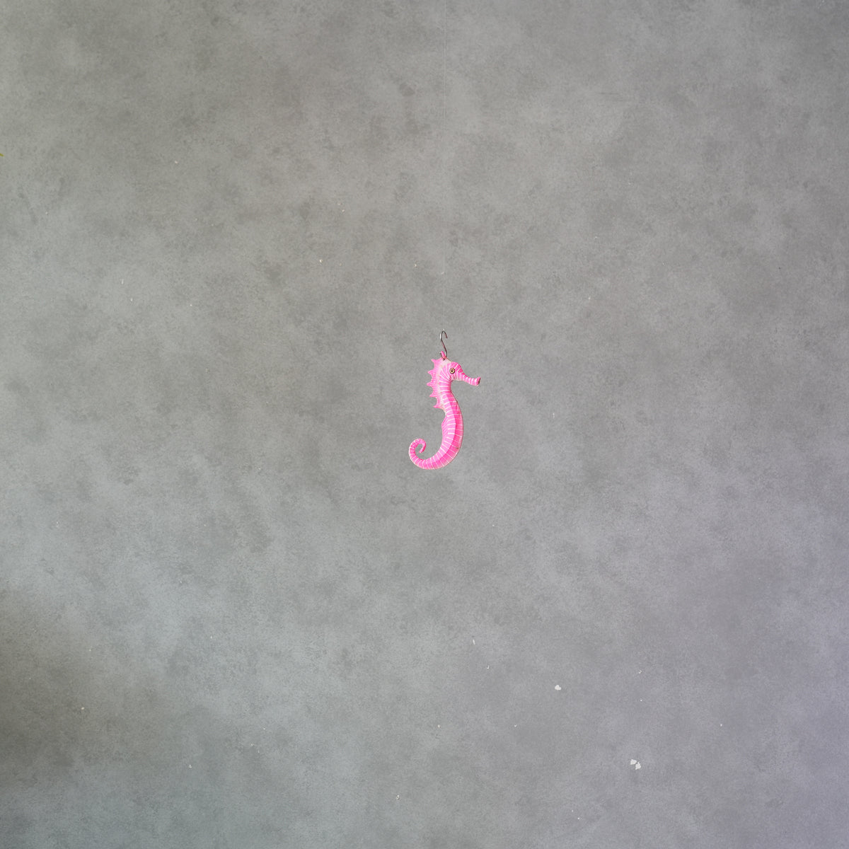 Small Sea Horse