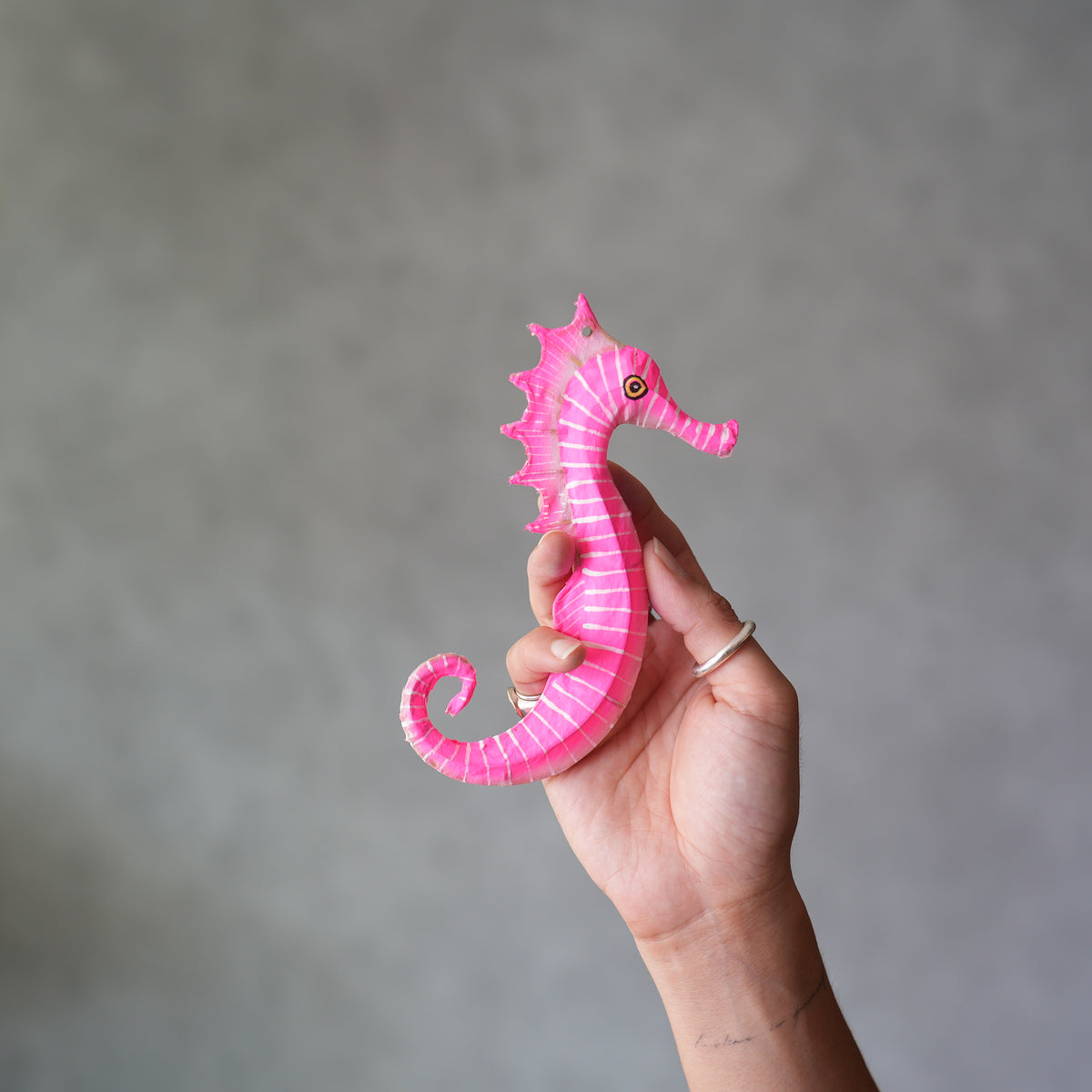 Small Sea Horse