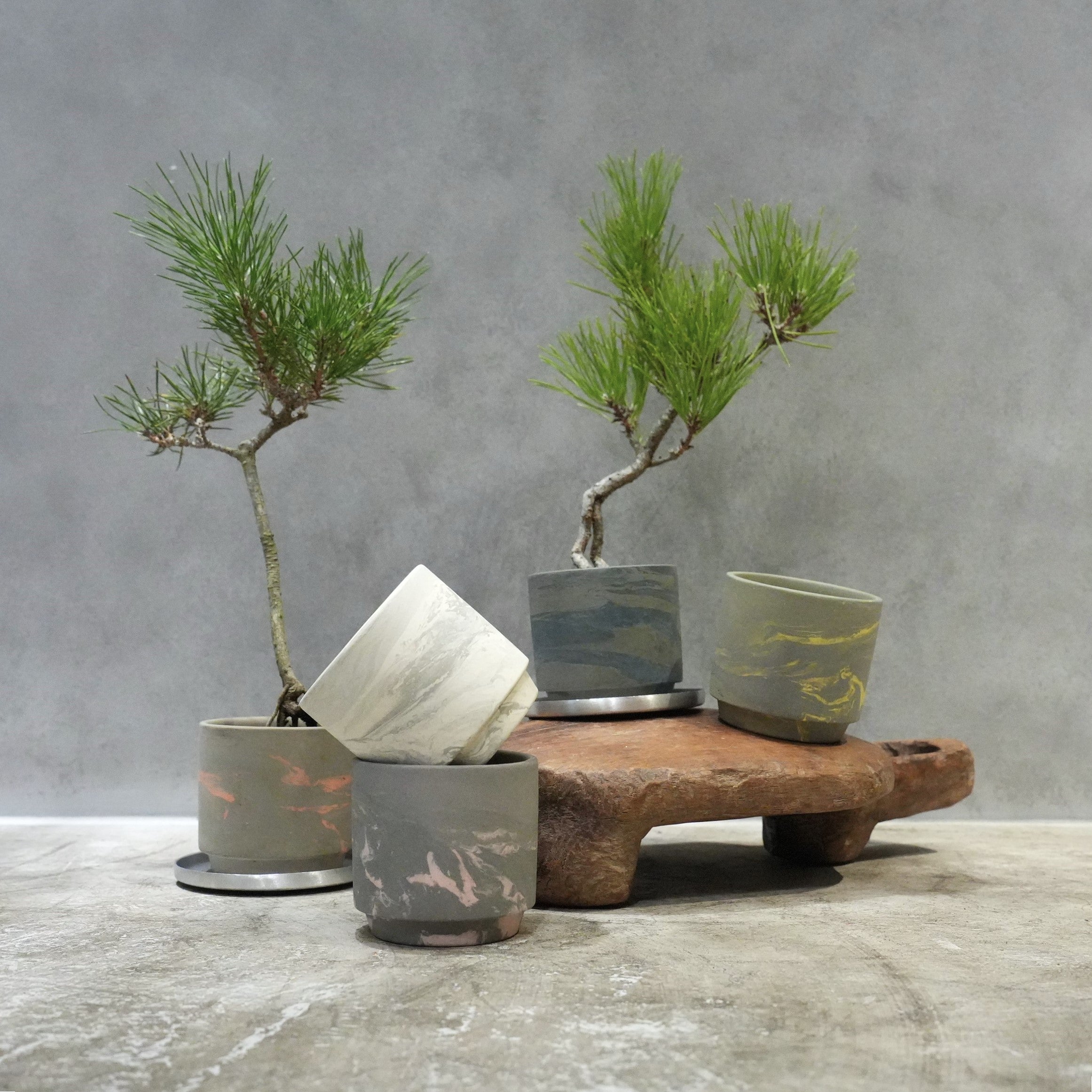 SOIL POT