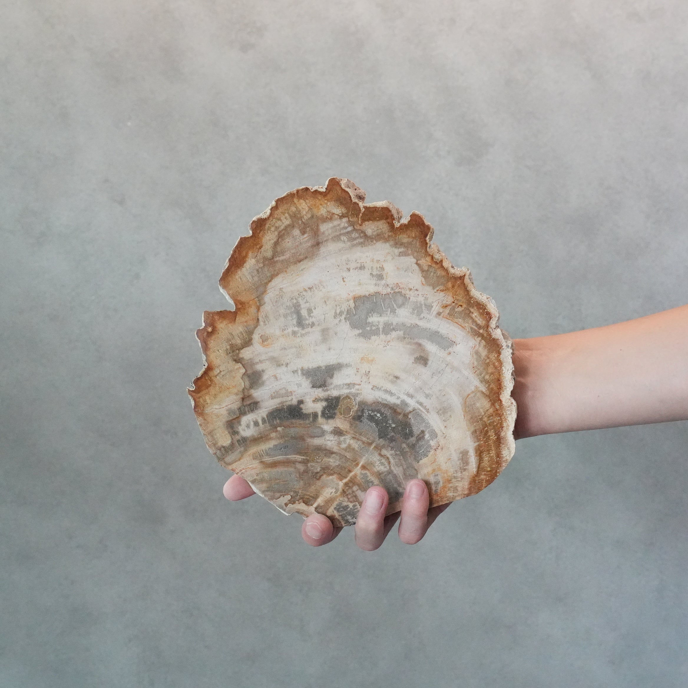 Wood Plate 20 Natural A
