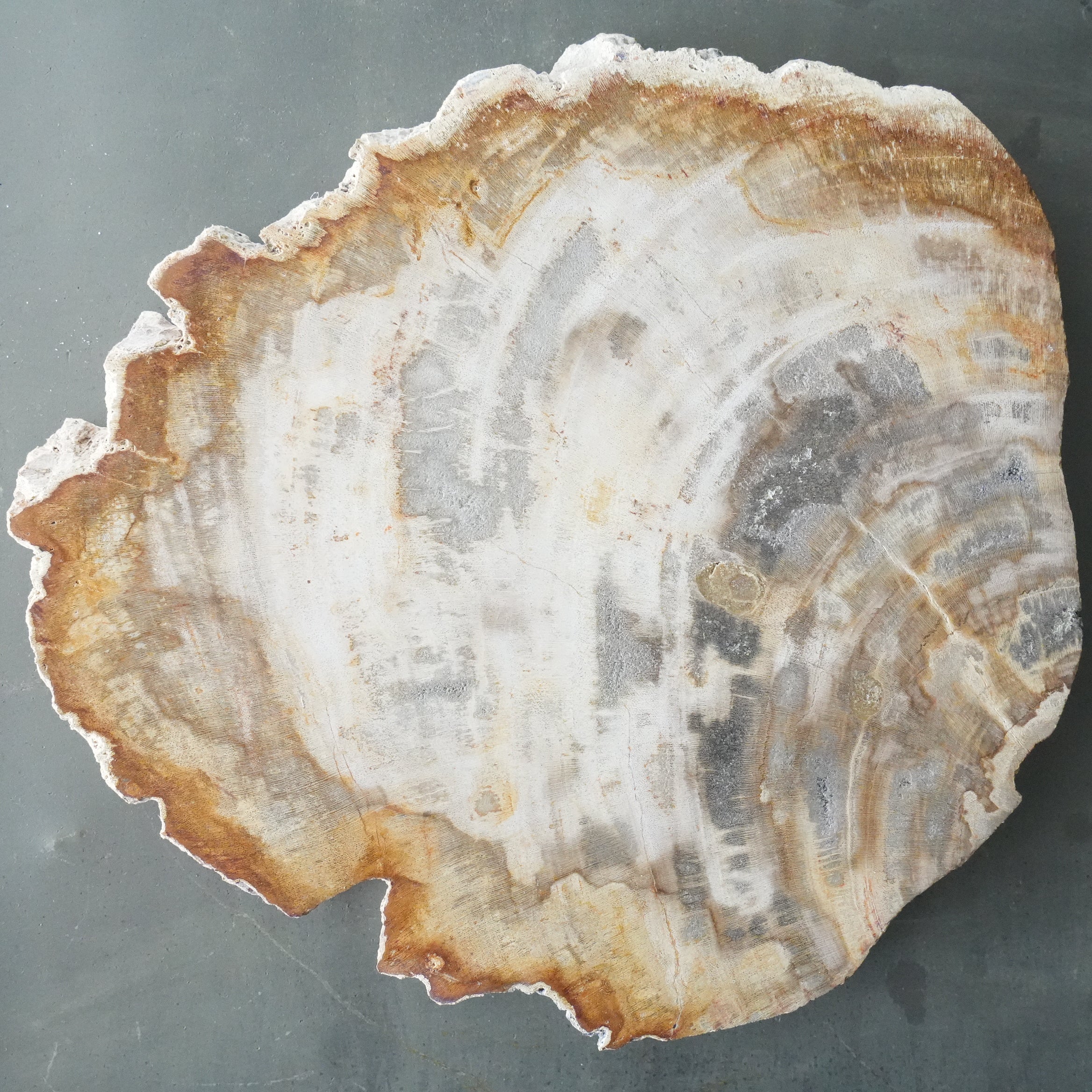 Wood Plate 20 Natural A