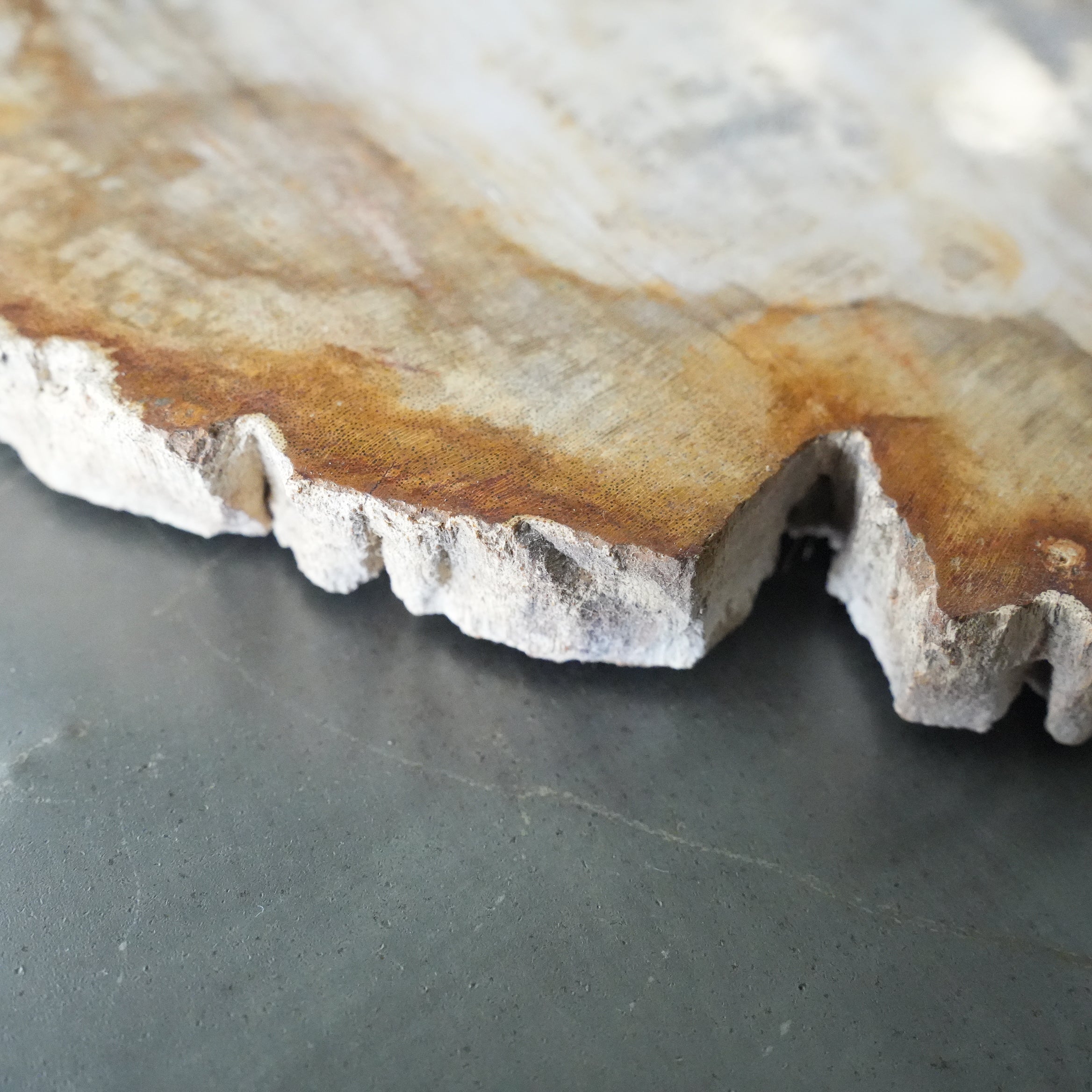 Wood Plate 20 Natural A