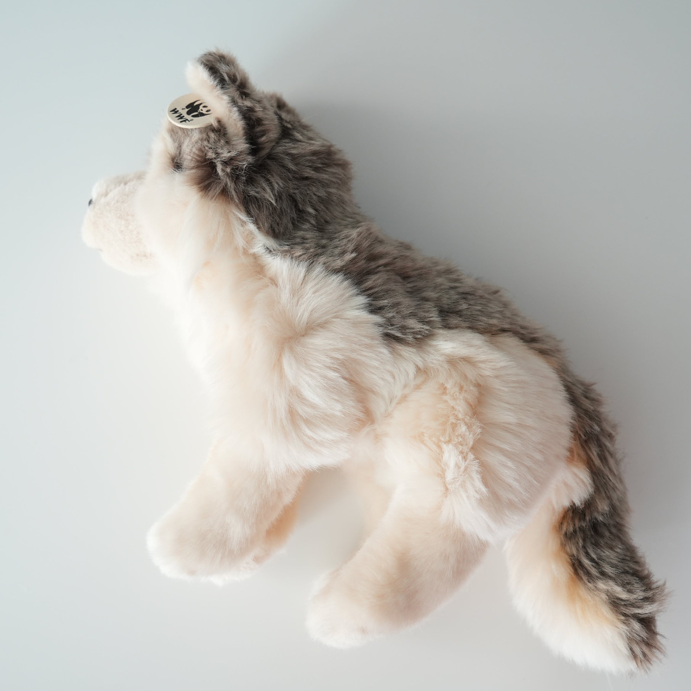 WWF WOLF