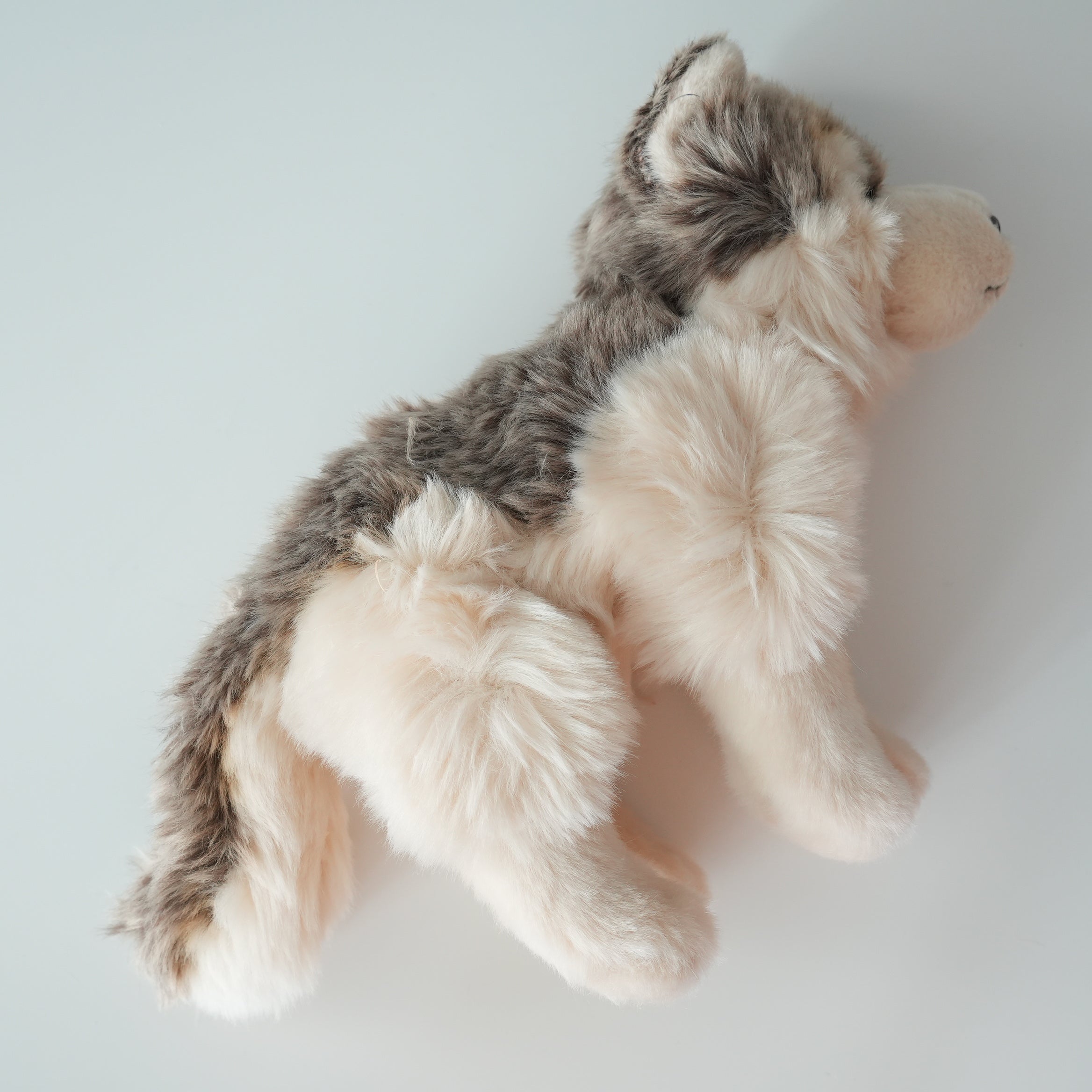 WWF WOLF