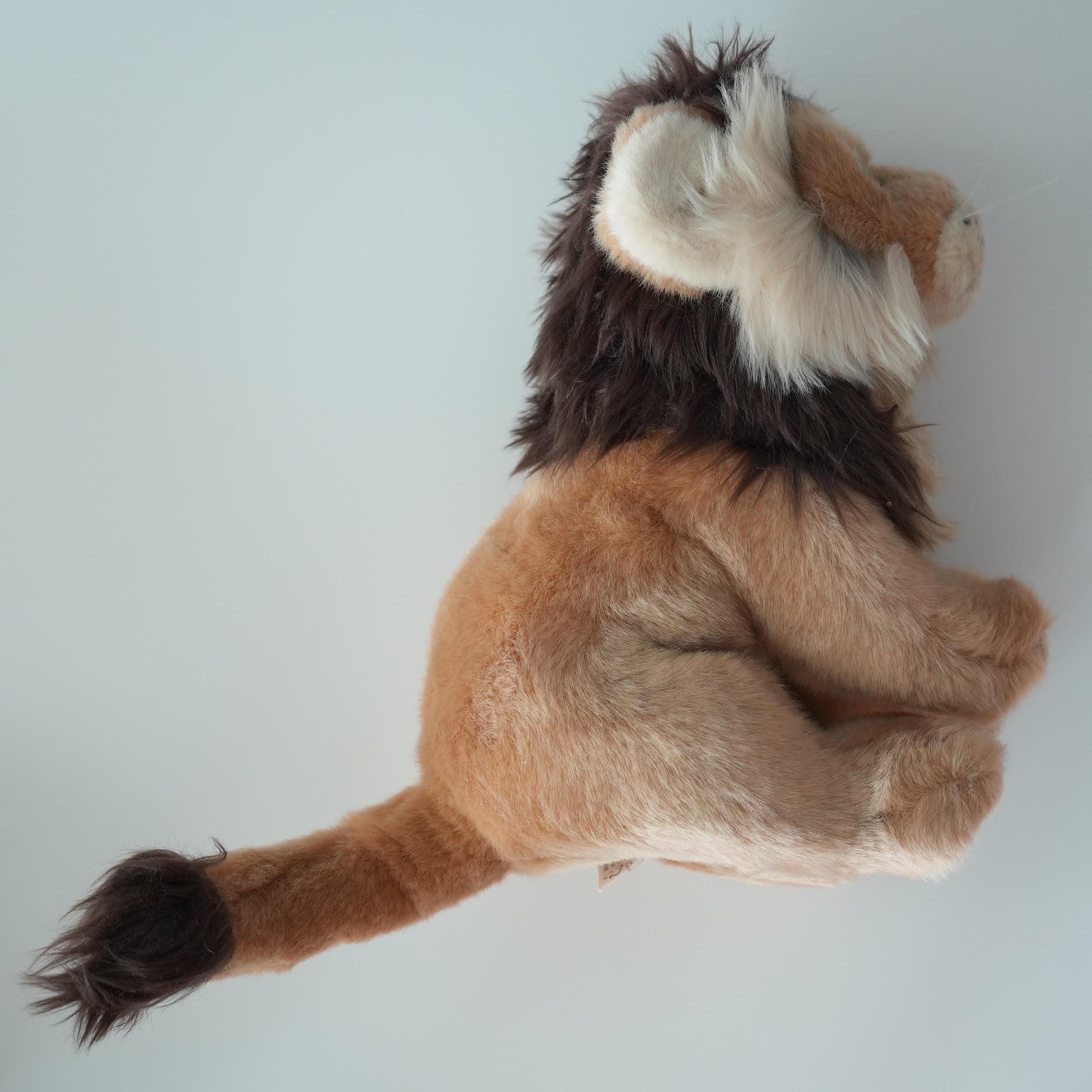 WWF LION