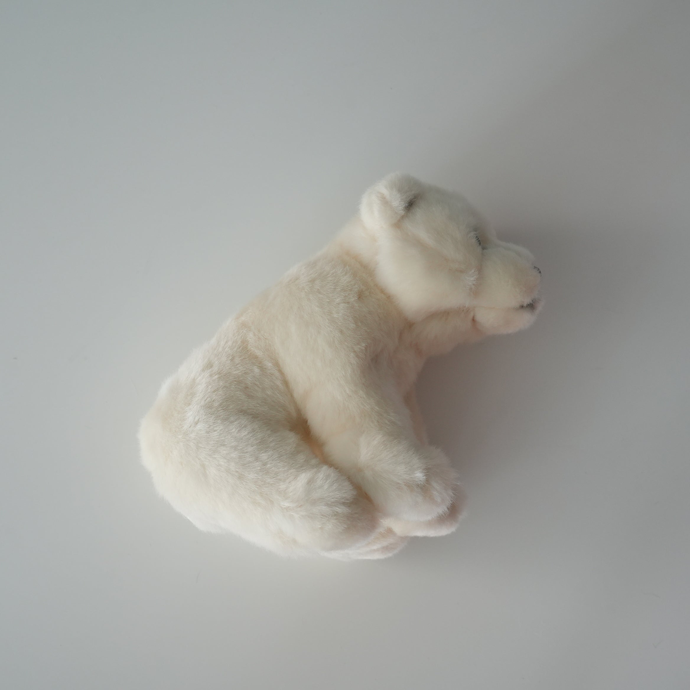 WWF POLAR BEAR