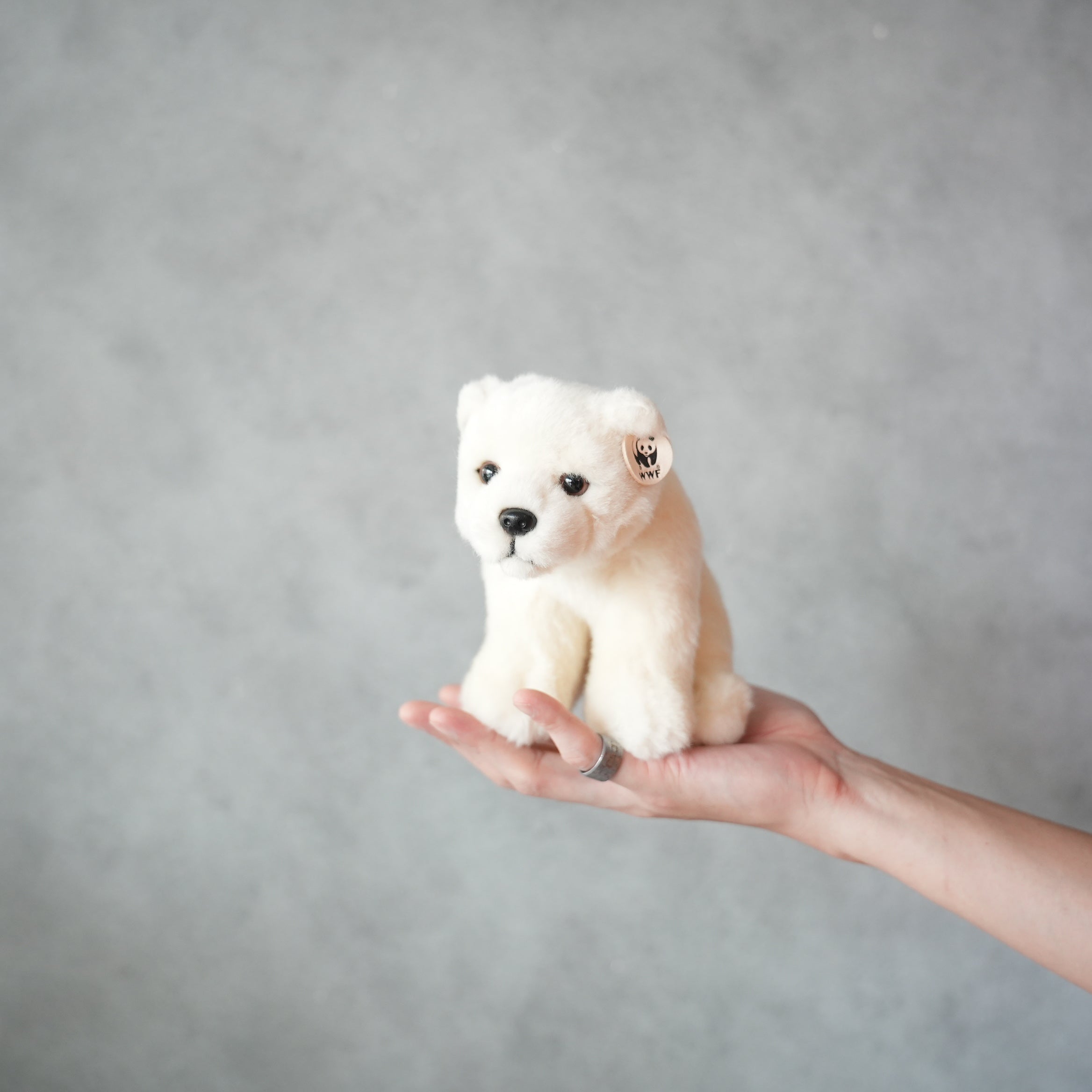 WWF POLAR BEAR