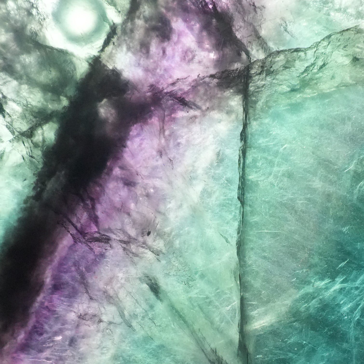 Crystal Plate　Fluorite