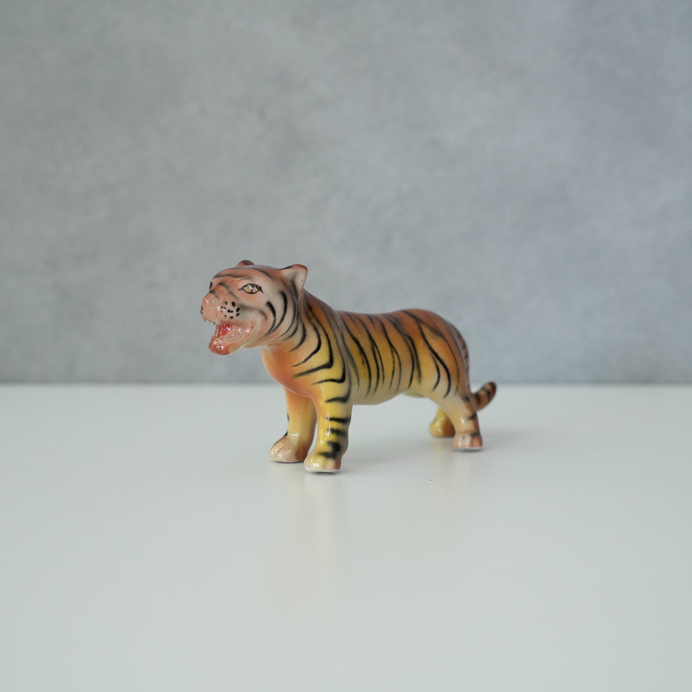Chiang Mai Tiger