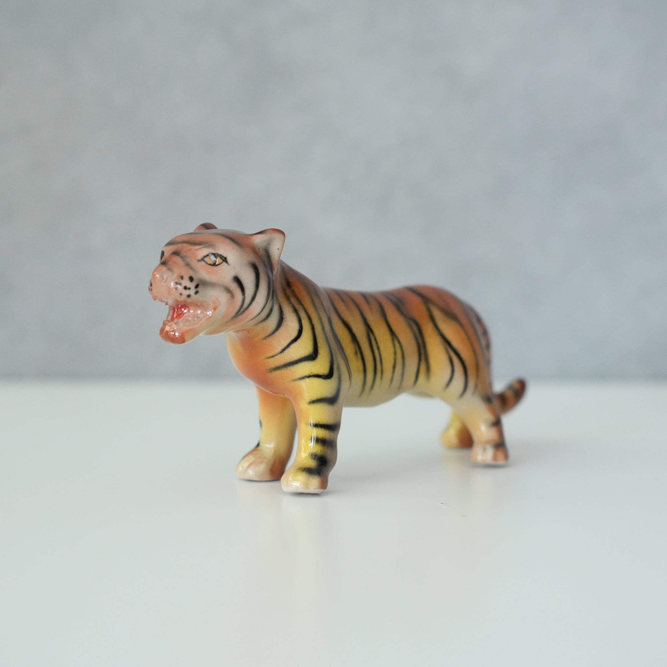 Chiang Mai Tiger