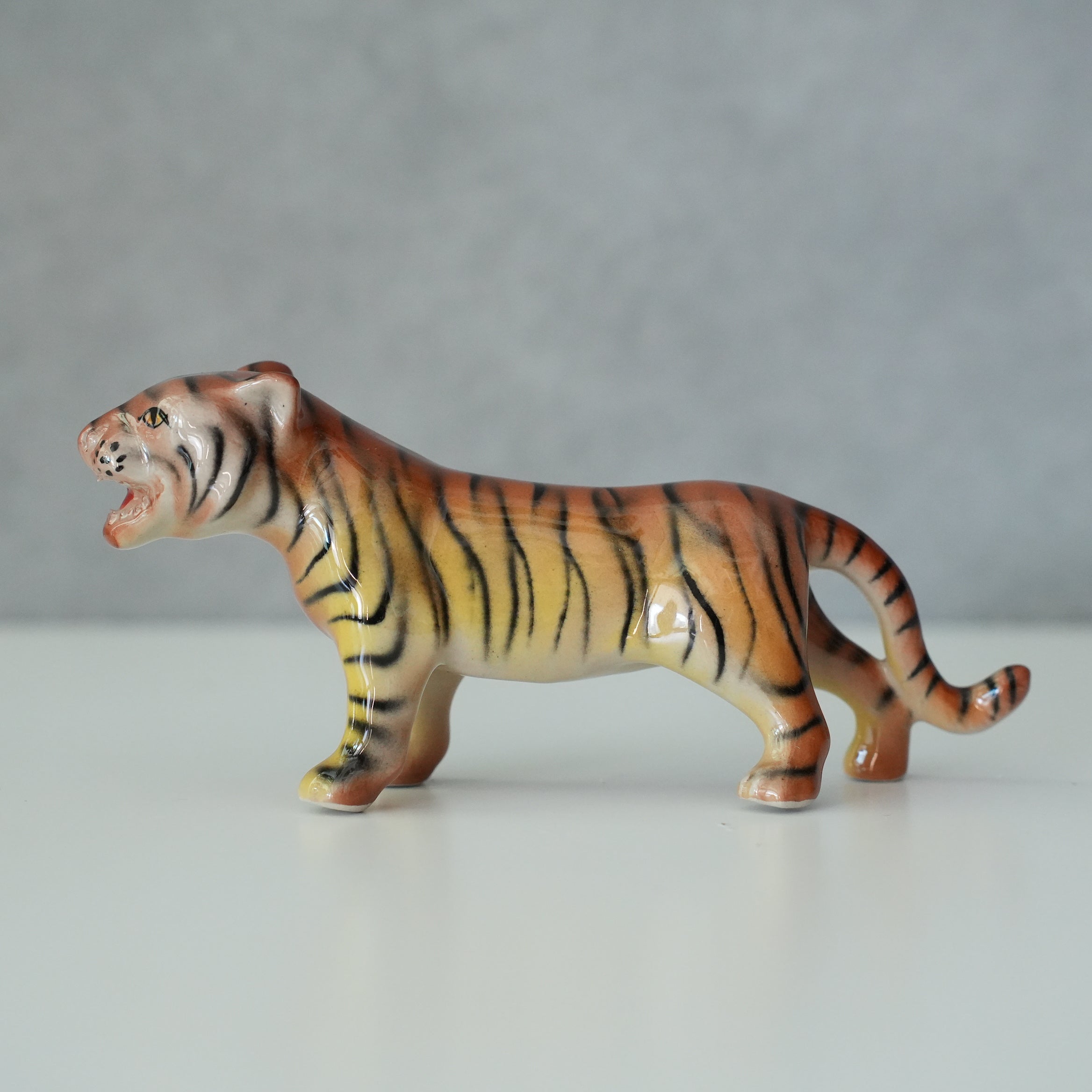 Chiang Mai Tiger