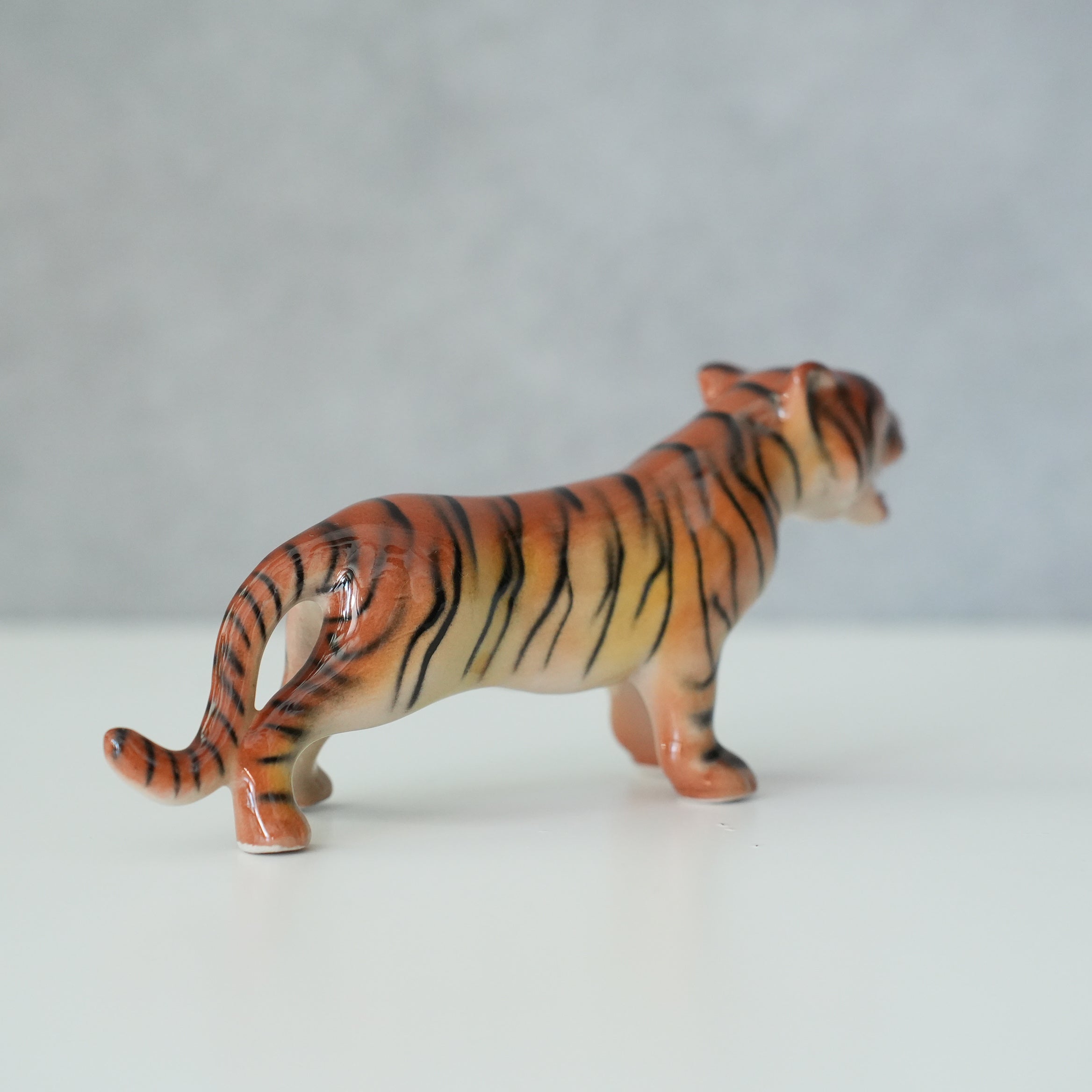 Chiang Mai Tiger
