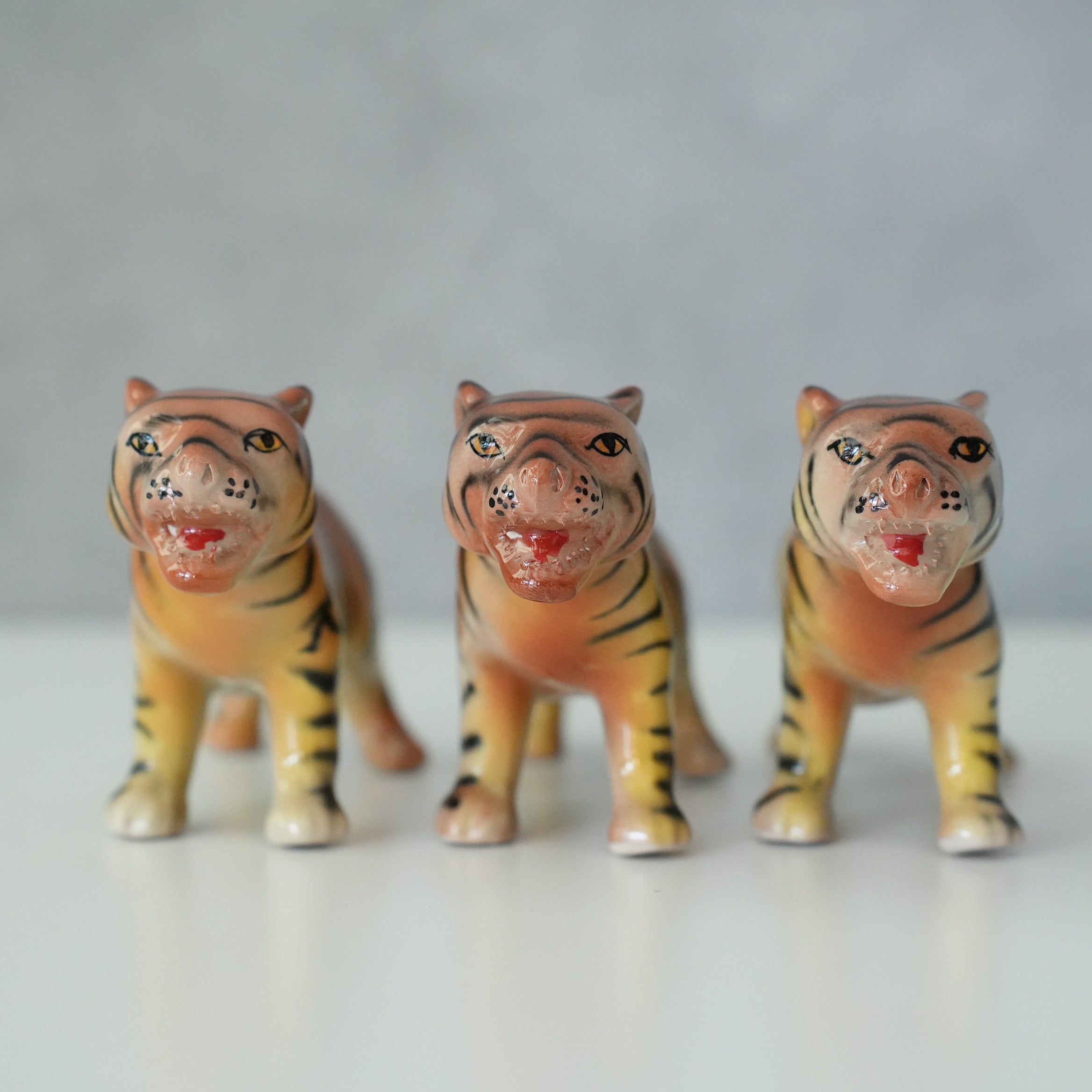 Chiang Mai Tiger