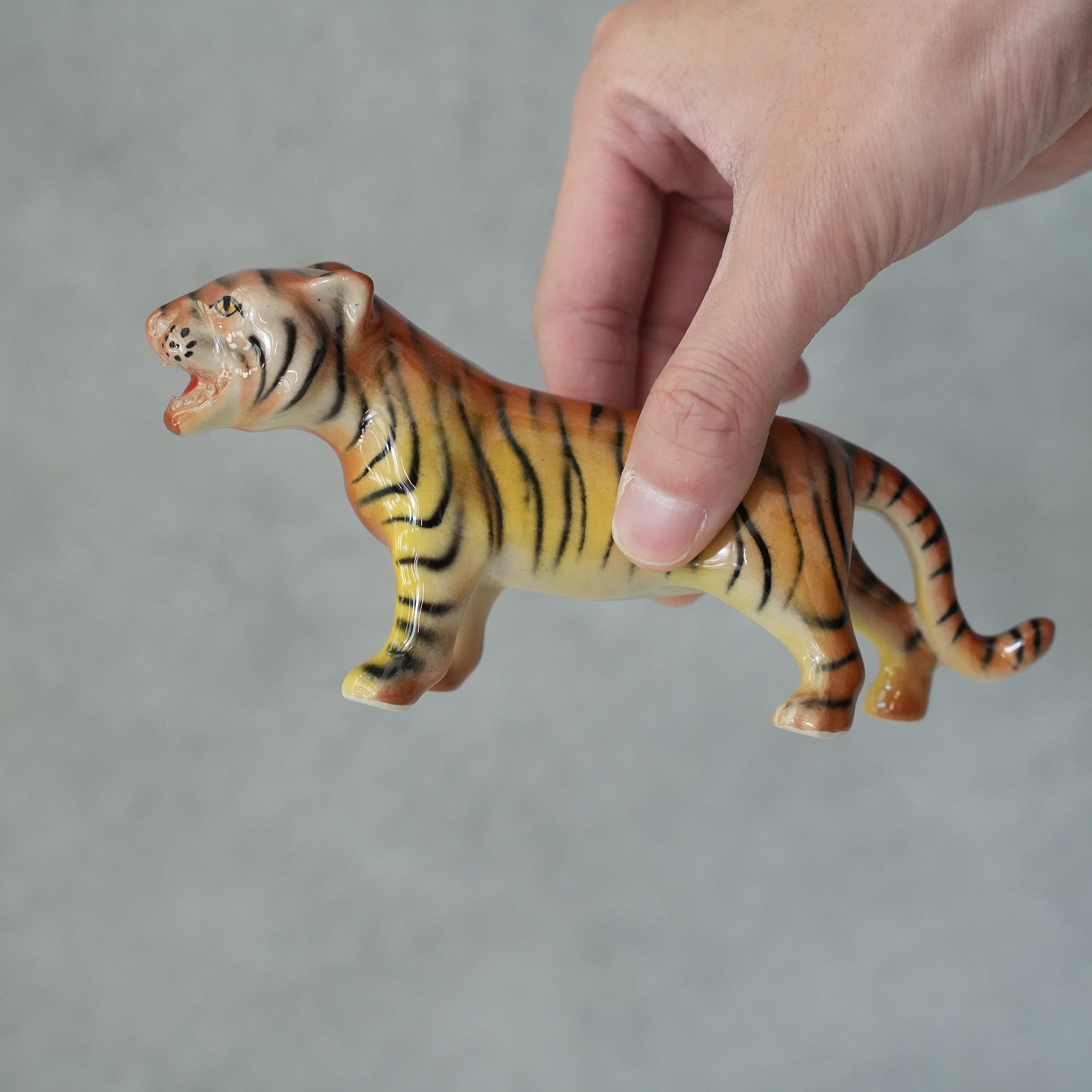Chiang Mai Tiger