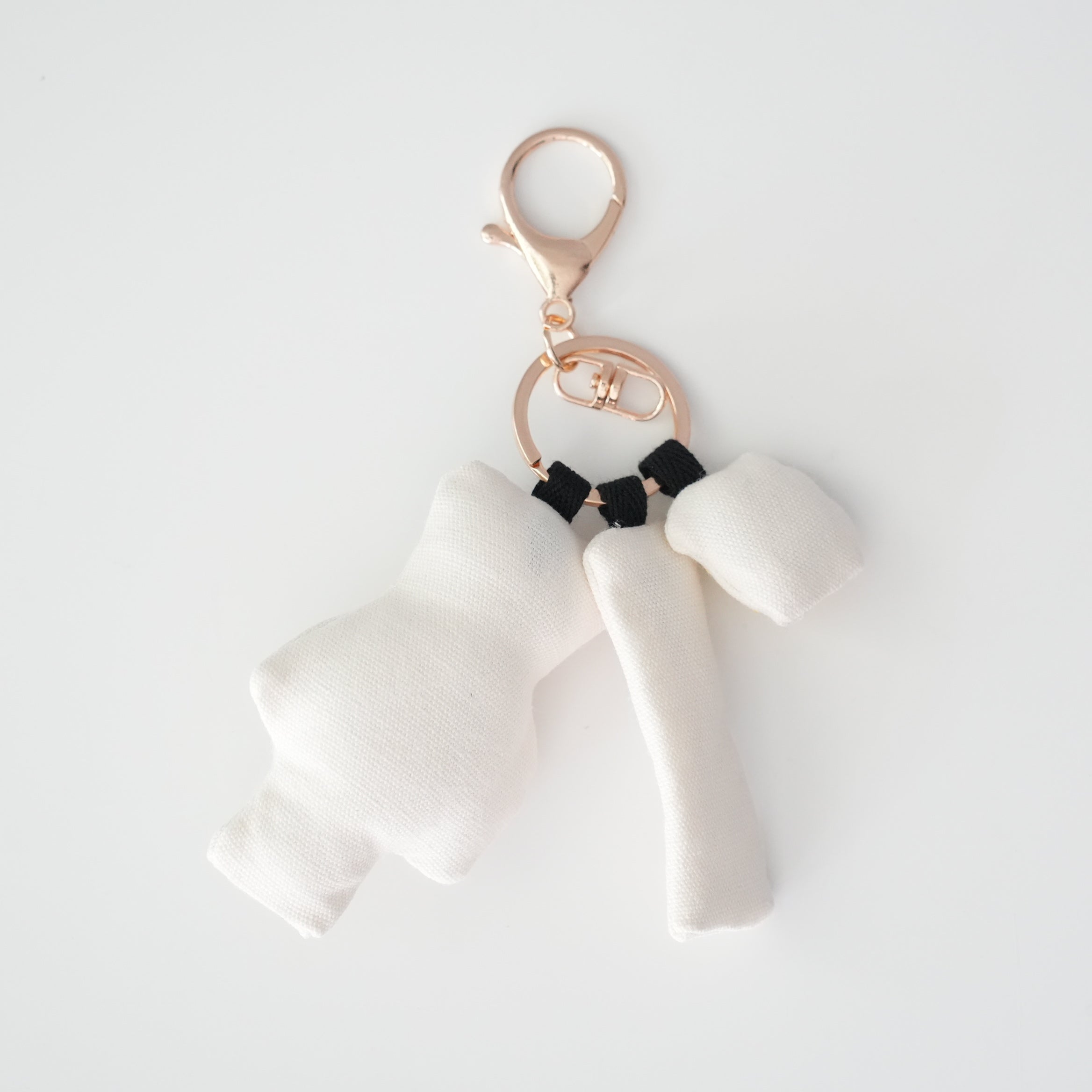 HAyU Charm