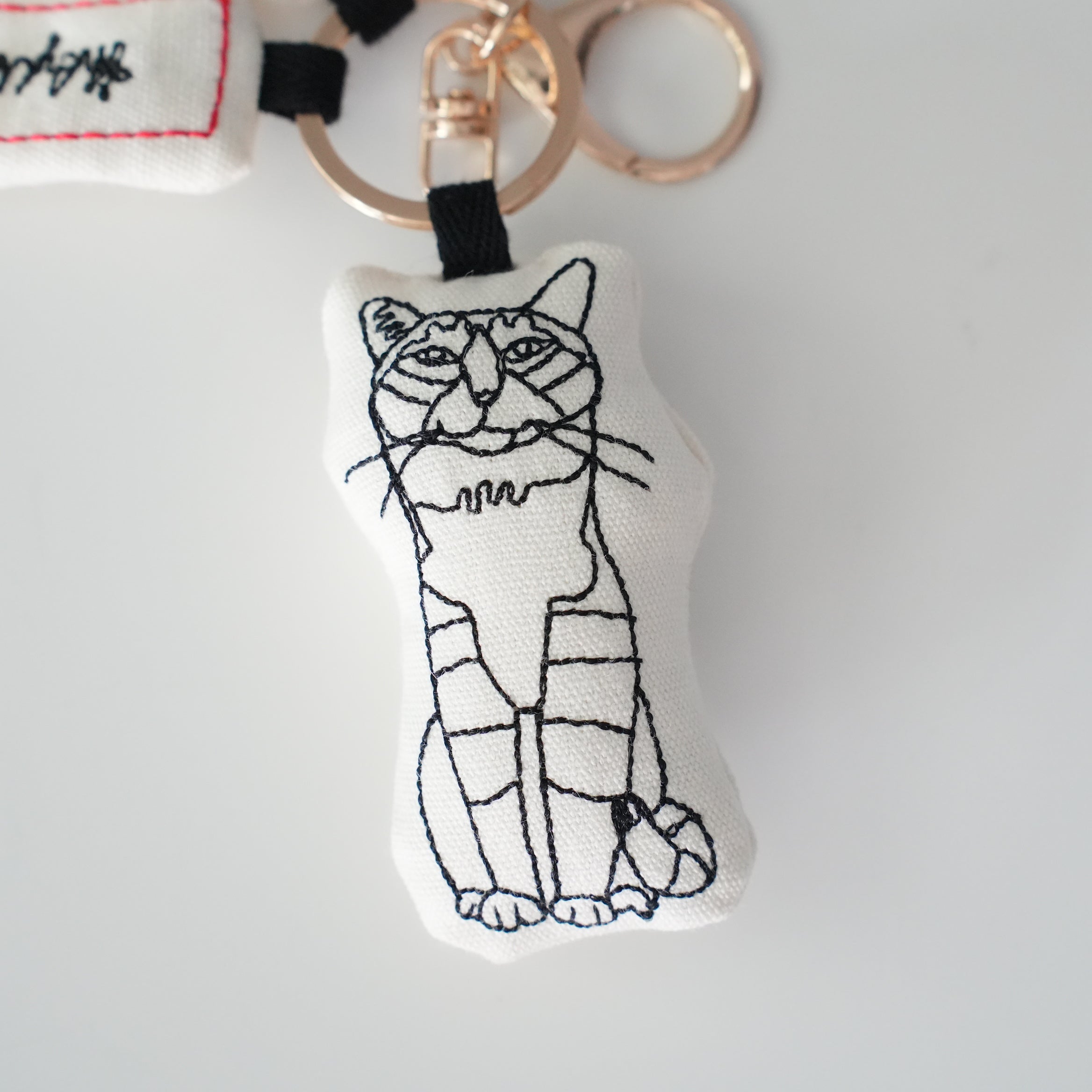 HAyU Charm