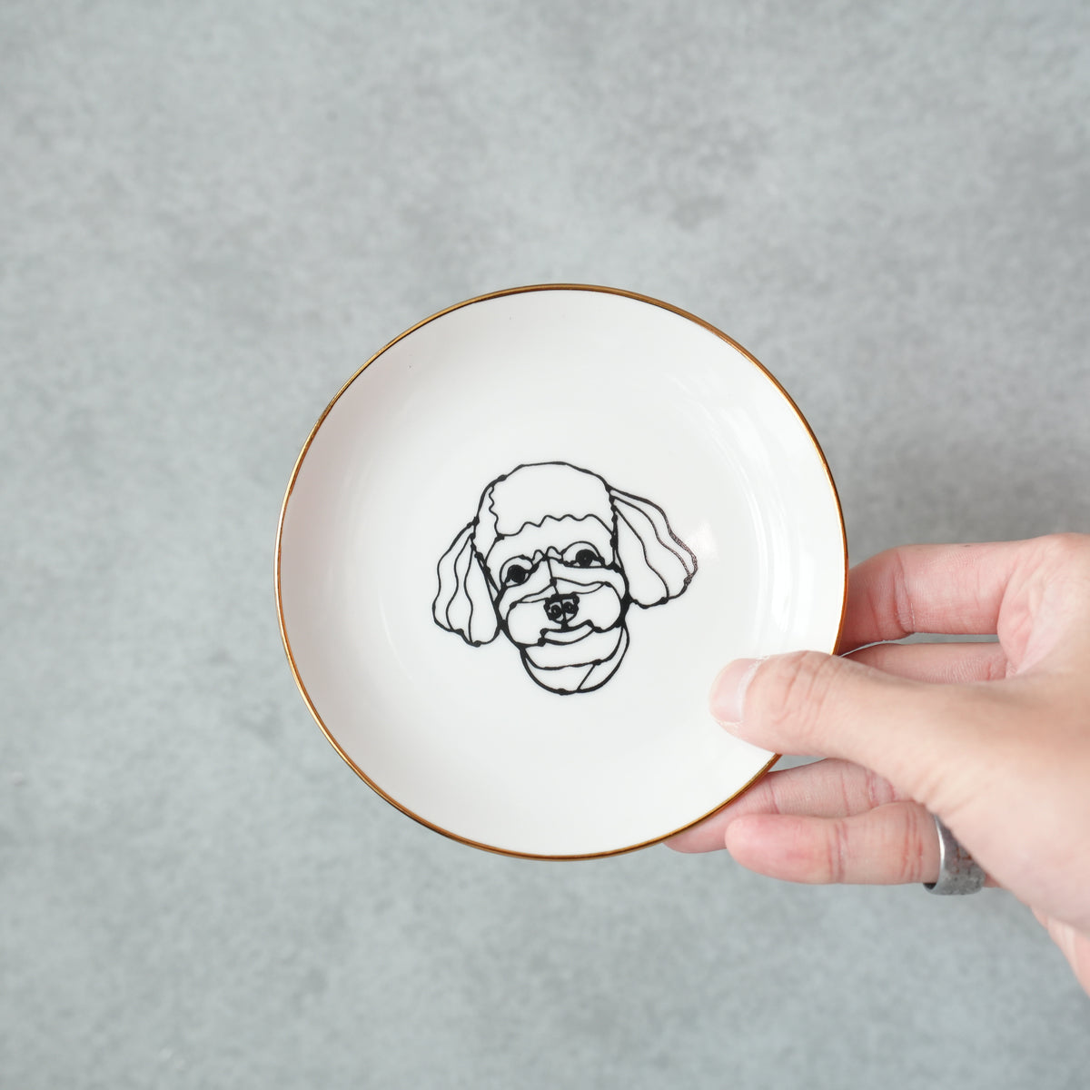 HAyU Plate