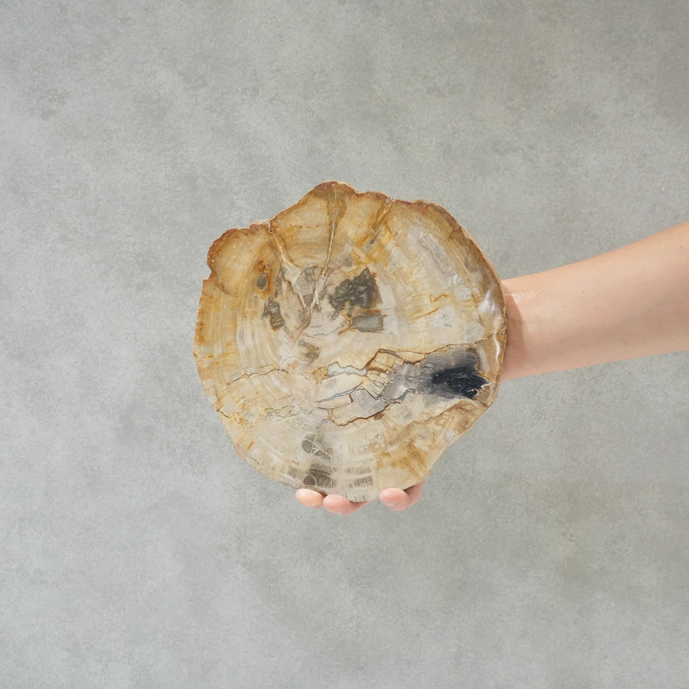 Wood Plate 20 Natural B