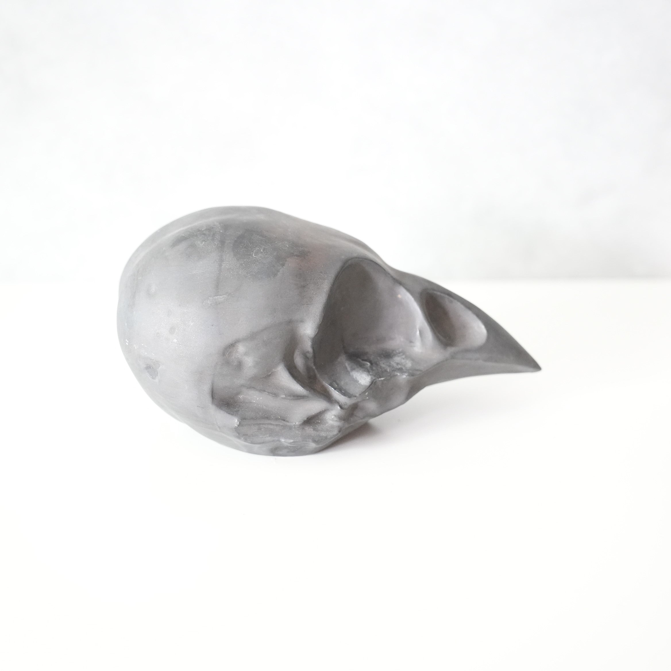 Bird Skull BSK-002-04
