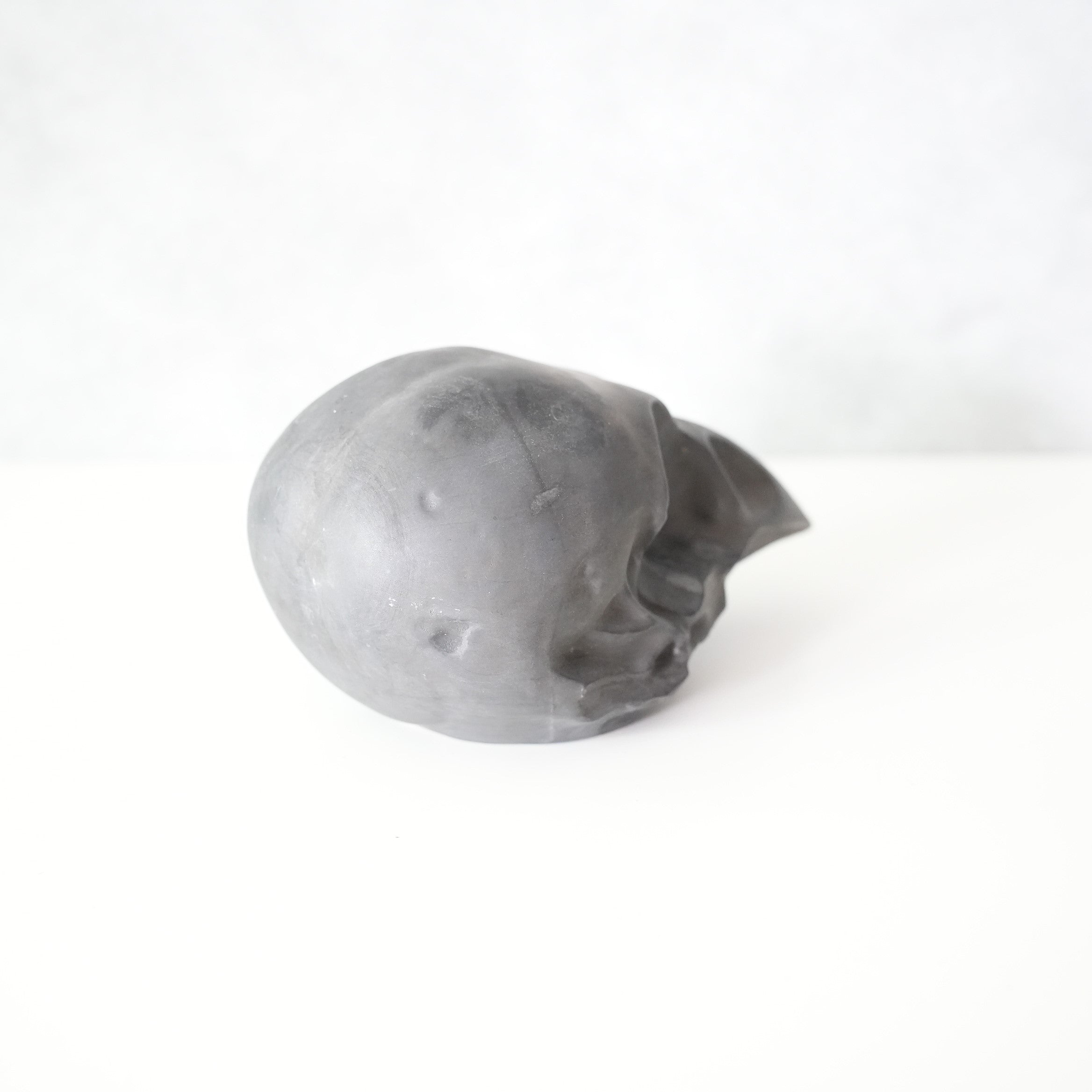 Bird Skull BSK-002-04