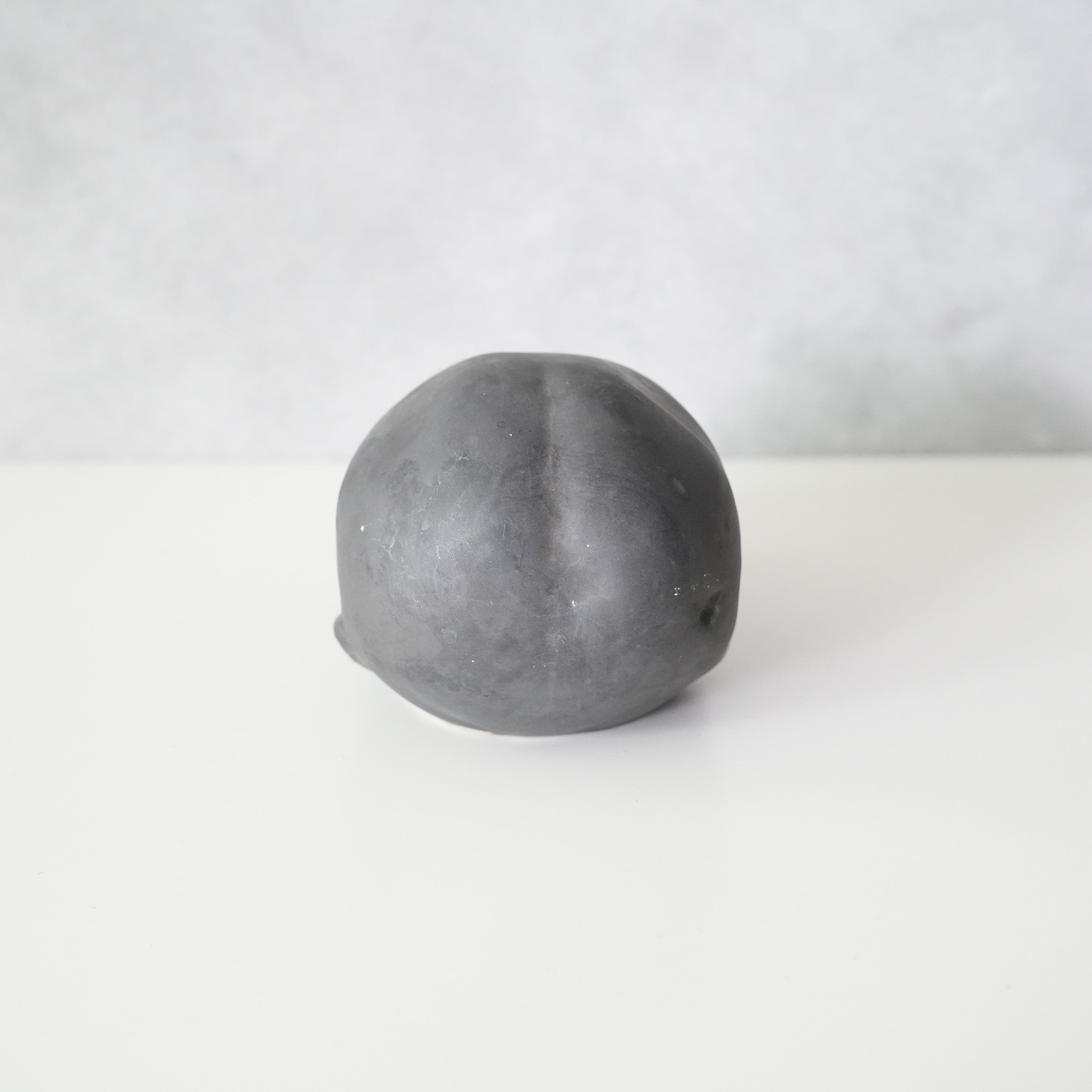 Bird Skull BSK-002-04