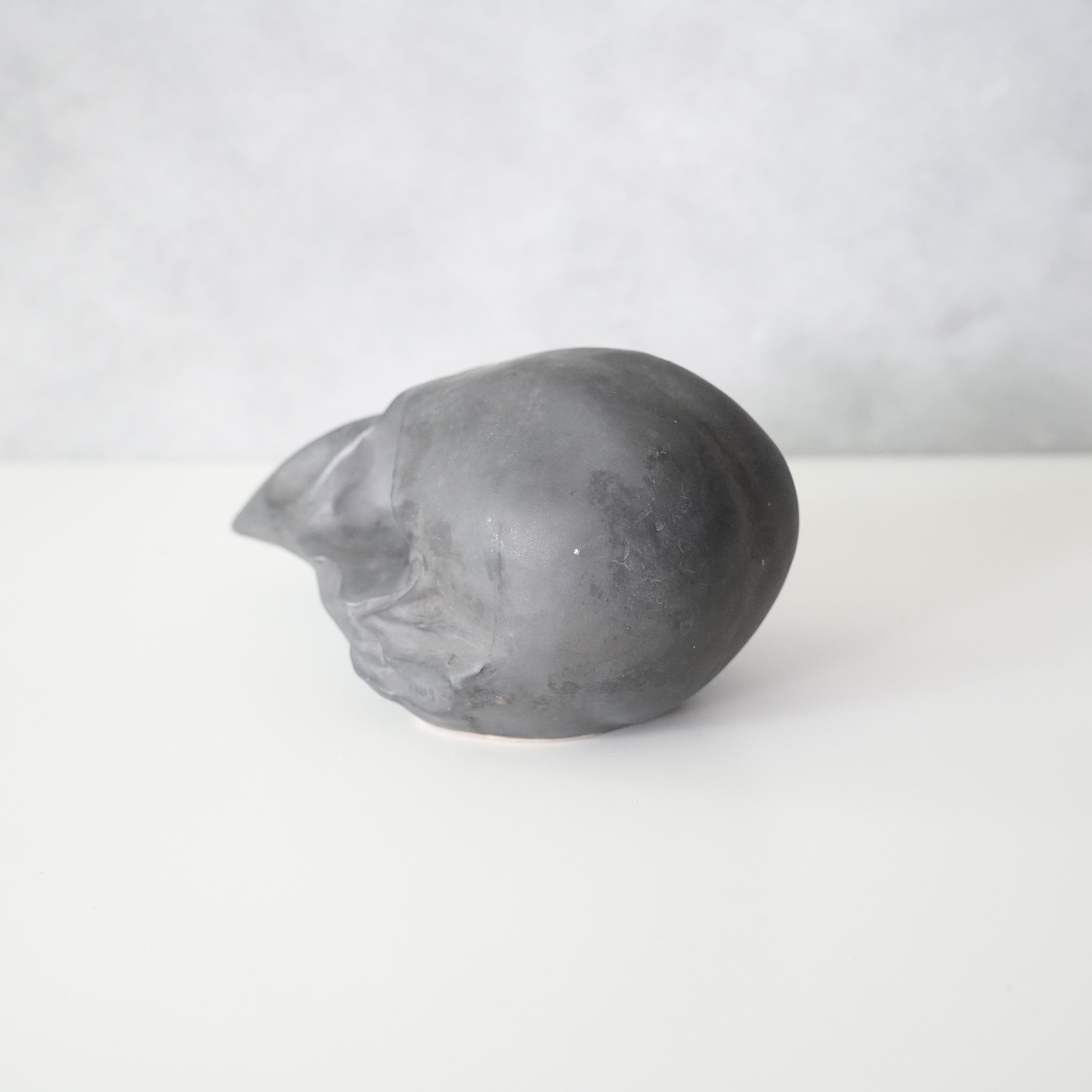 Bird Skull BSK-002-04