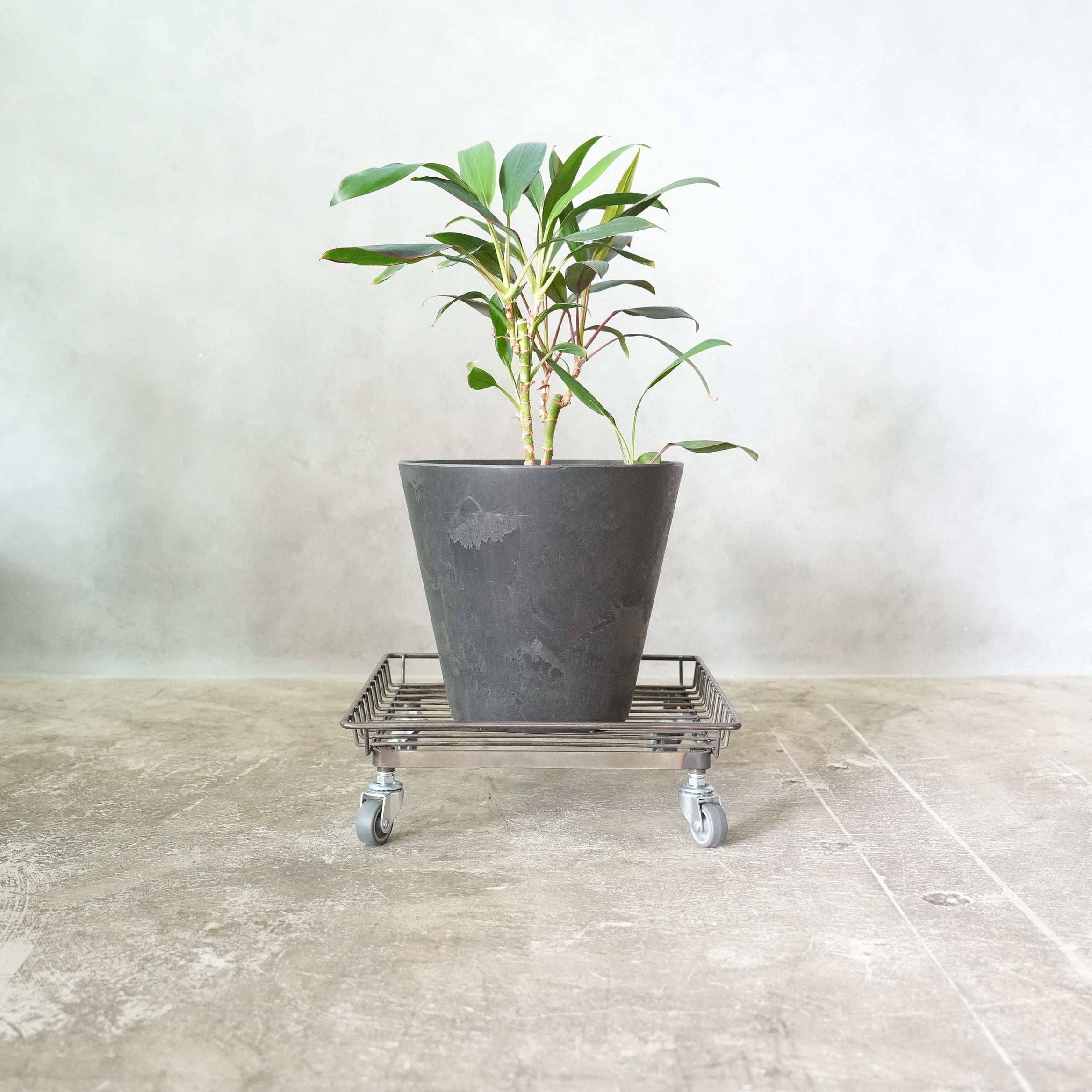 SthaL Botanical Wire Trolley