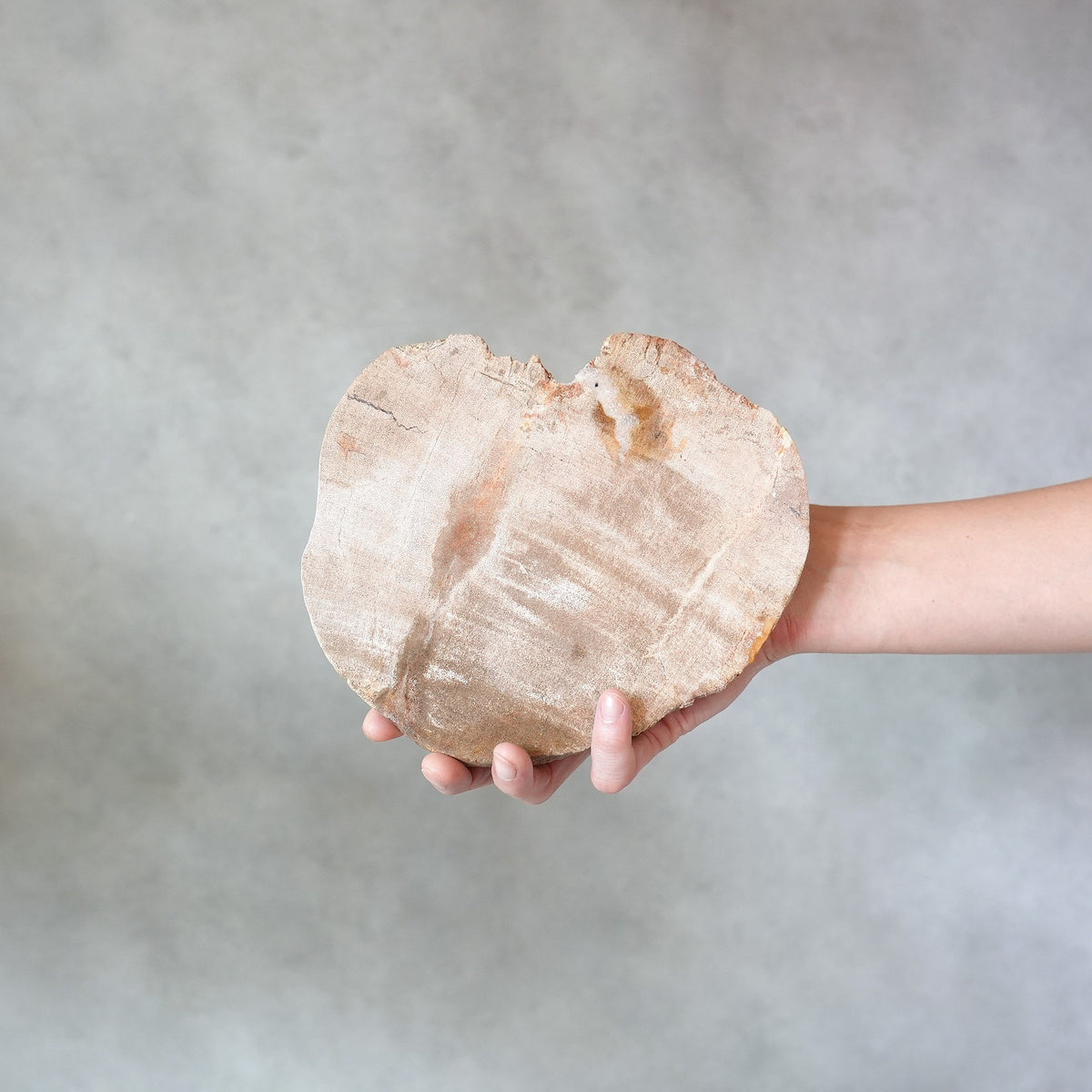 Wood Plate 20 Natural A