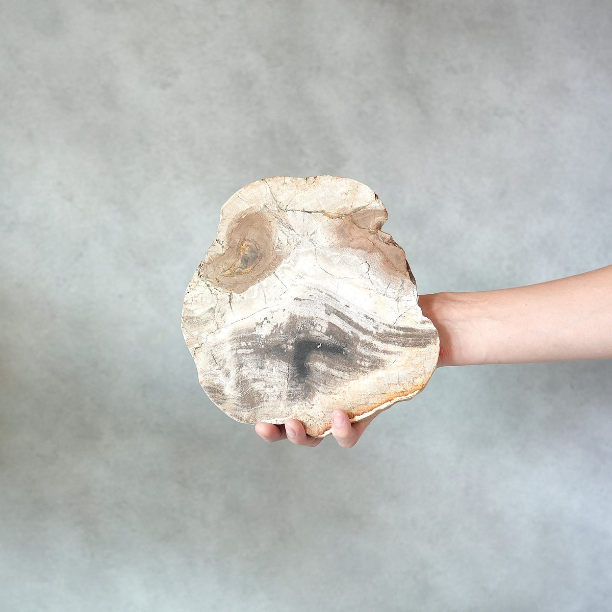 Wood Plate 20 Natural D