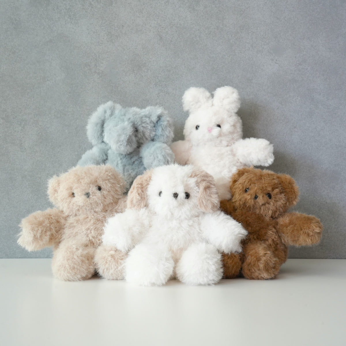 TEDDY OSUWARI NUIGURUMI