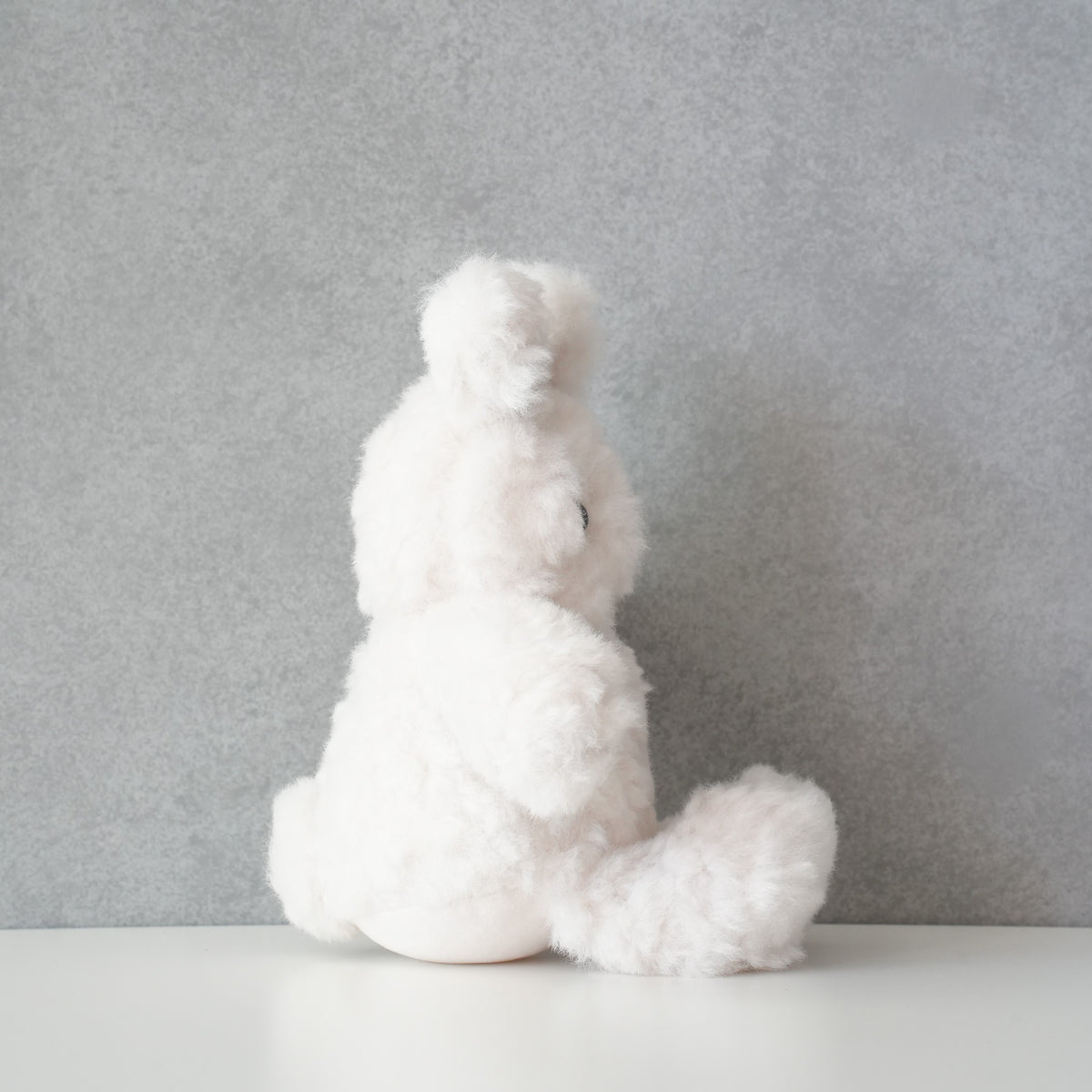 TEDDY OSUWARI NUIGURUMI