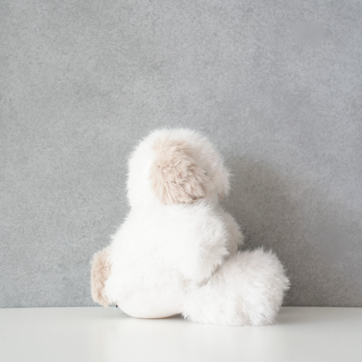 TEDDY OSUWARI NUIGURUMI